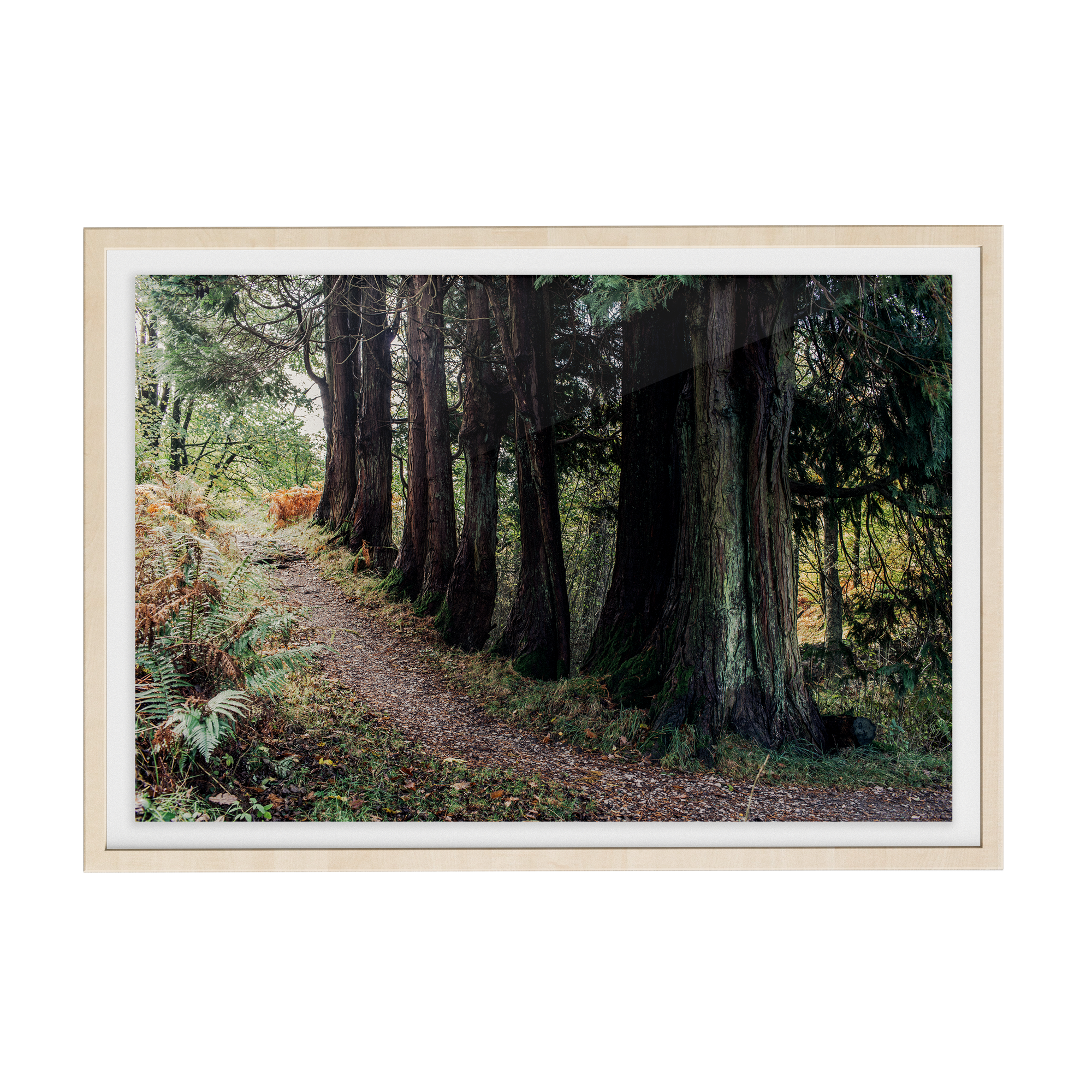 Coniston: Brethren photographic print