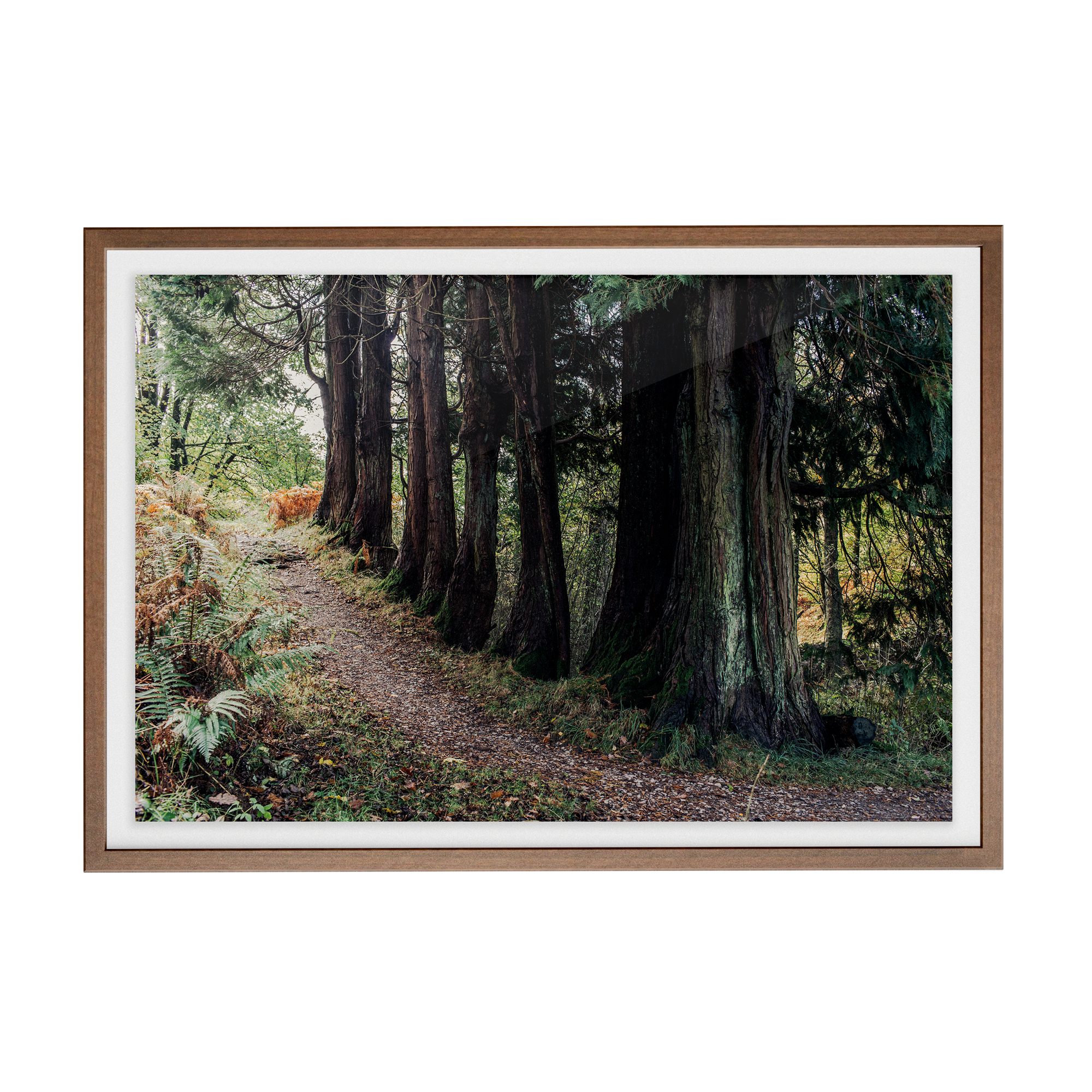 Coniston: Brethren photographic print