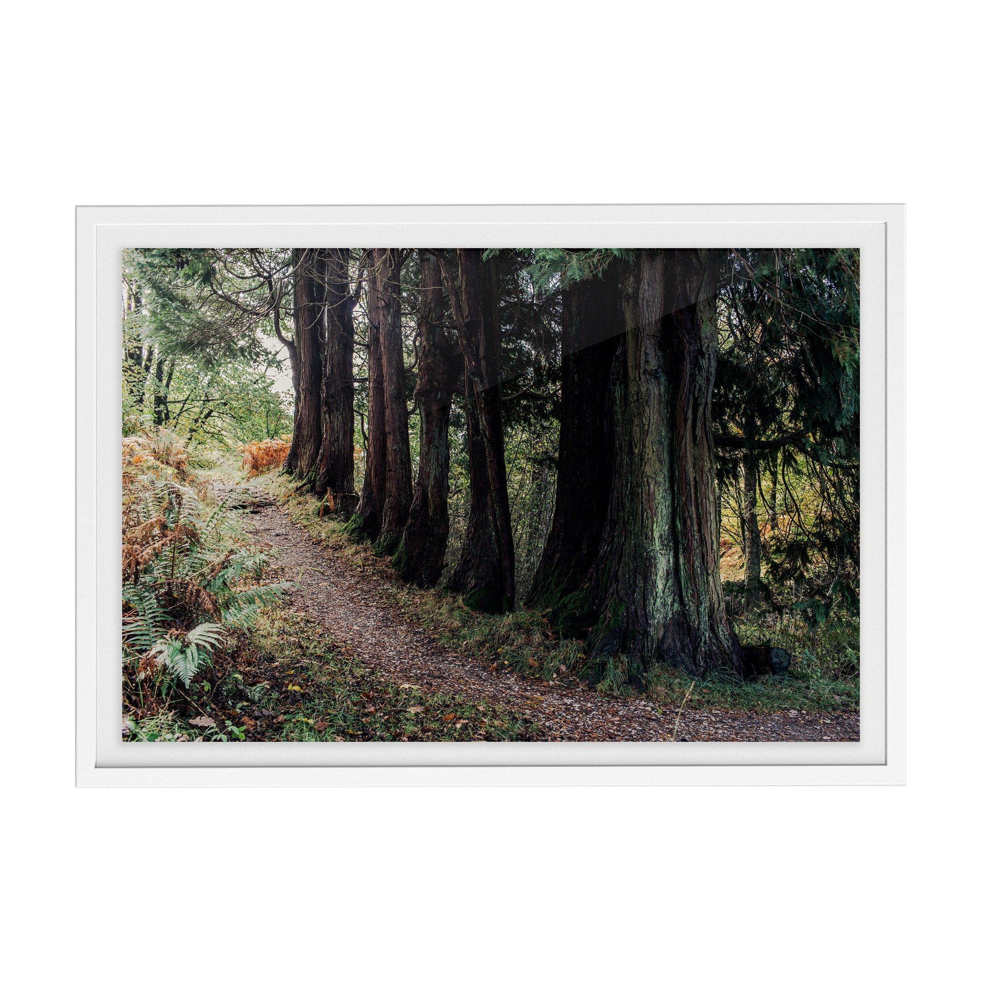 Coniston: Brethren photographic print