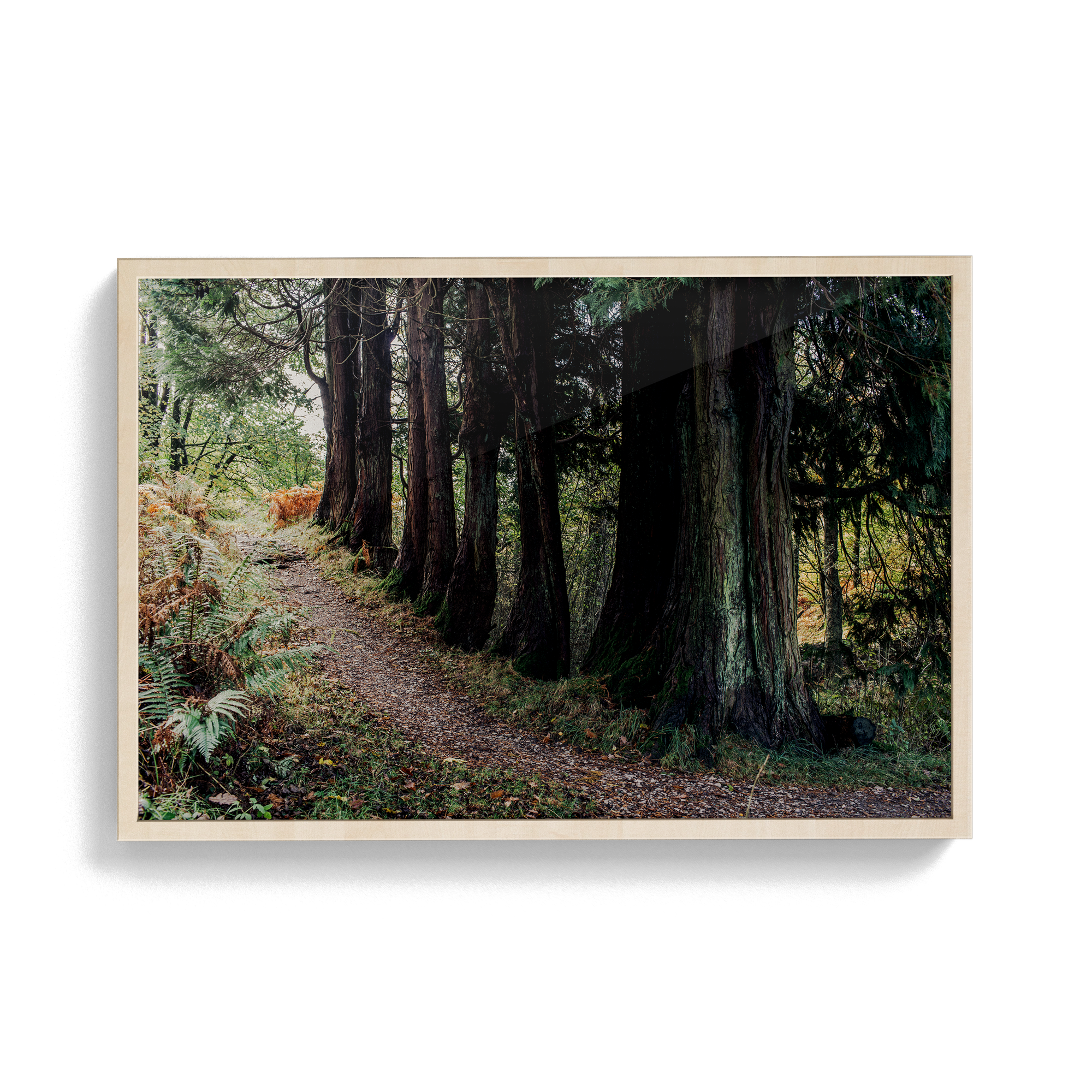 Coniston: Brethren photographic print