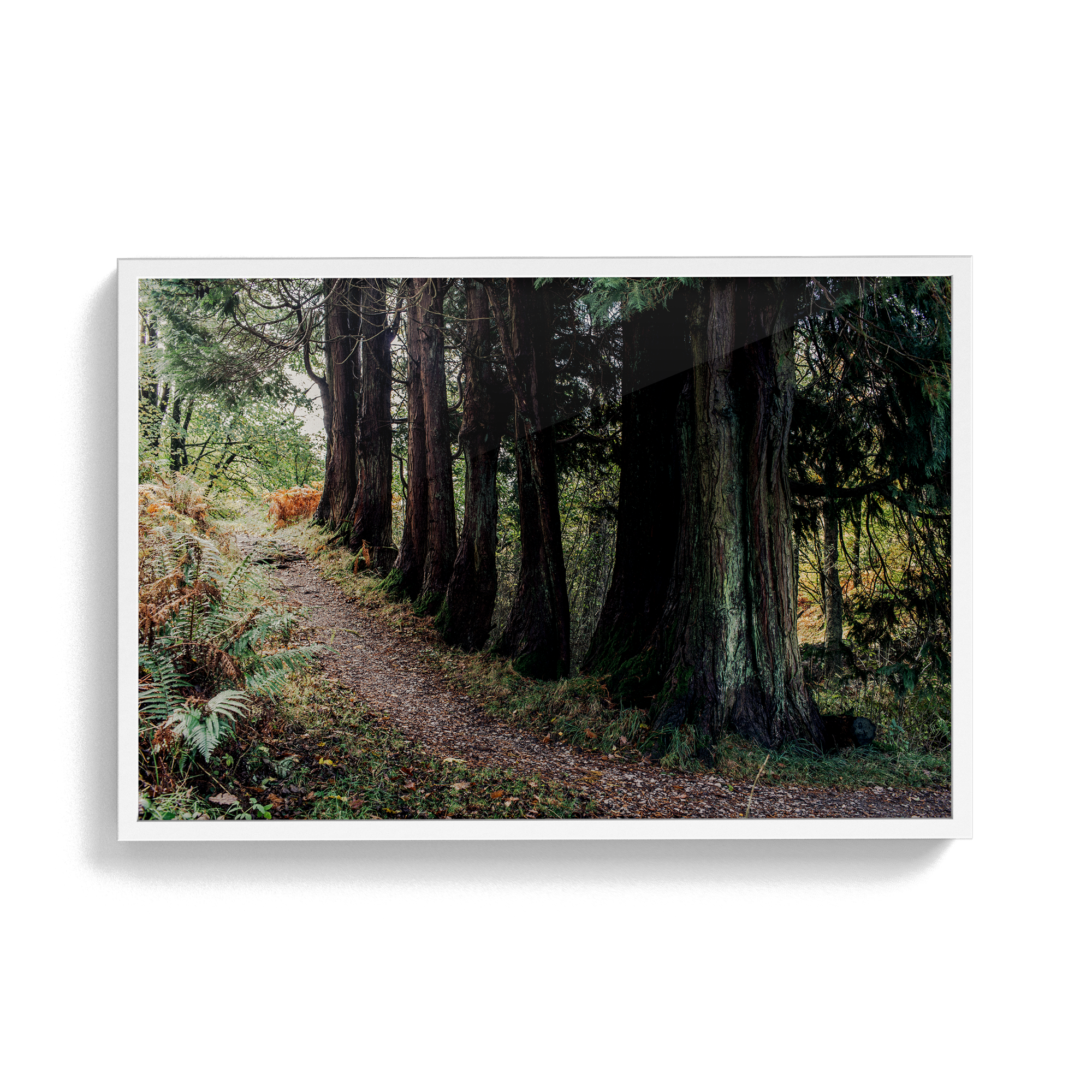Coniston: Brethren photographic print