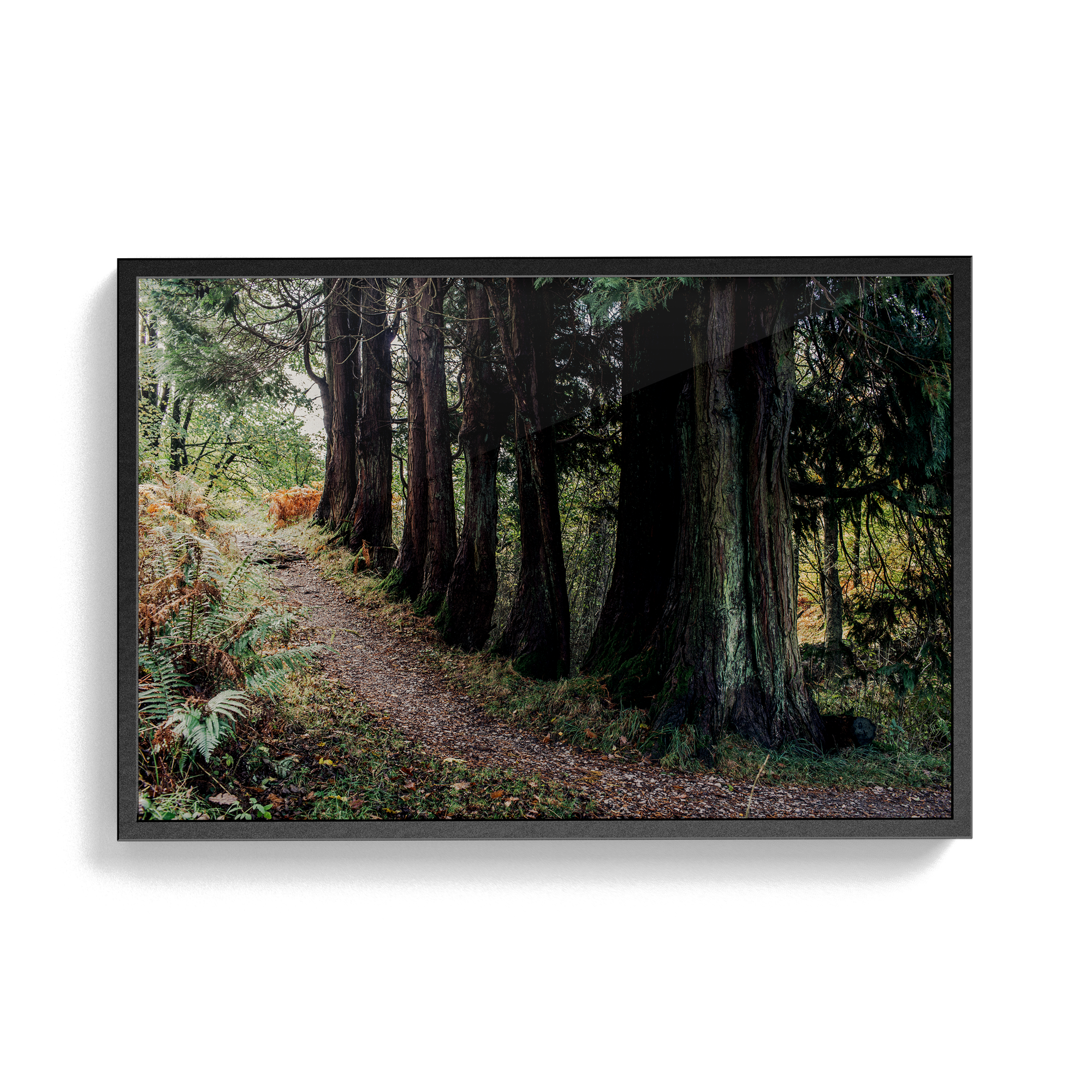 Coniston: Brethren photographic print