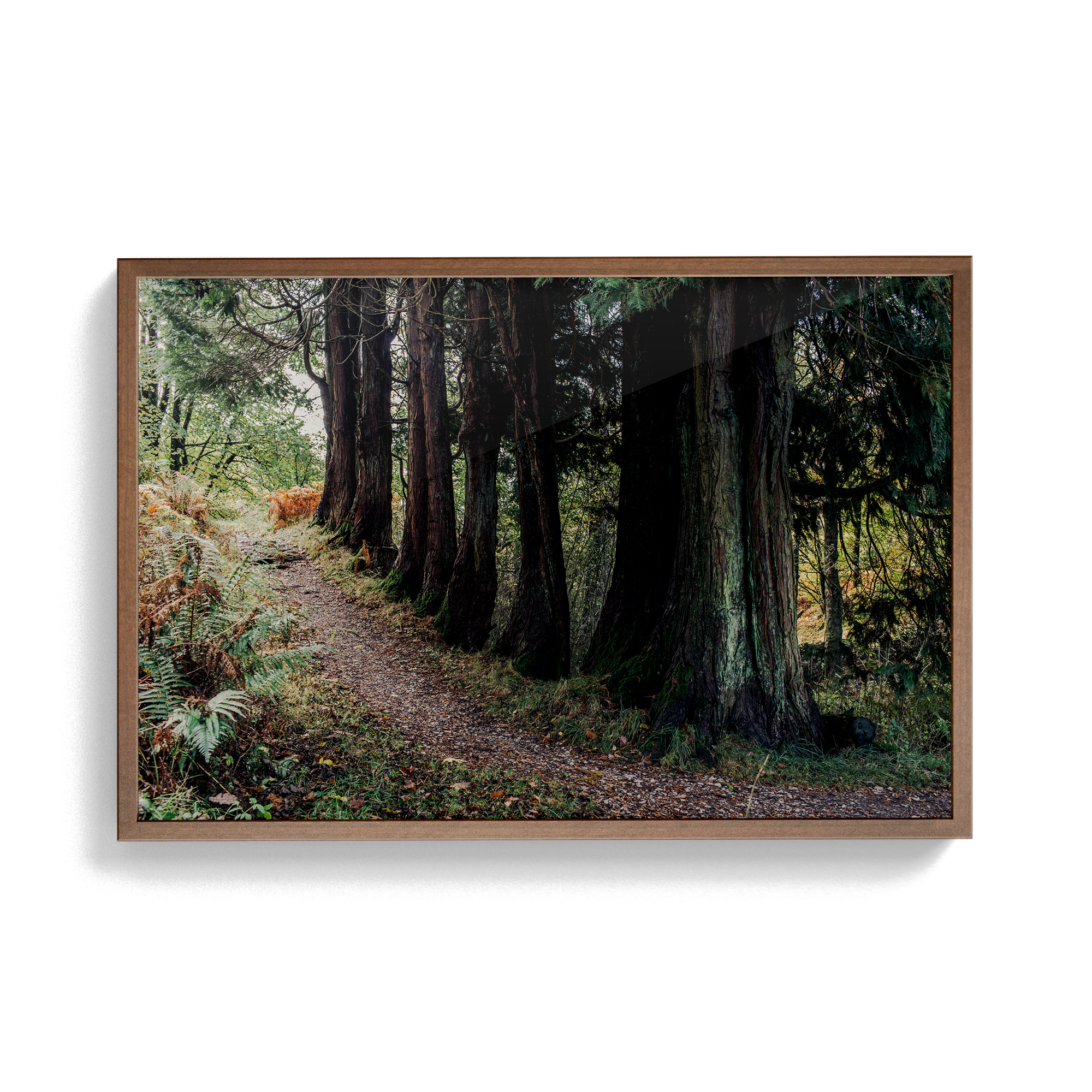 Coniston: Brethren photographic print