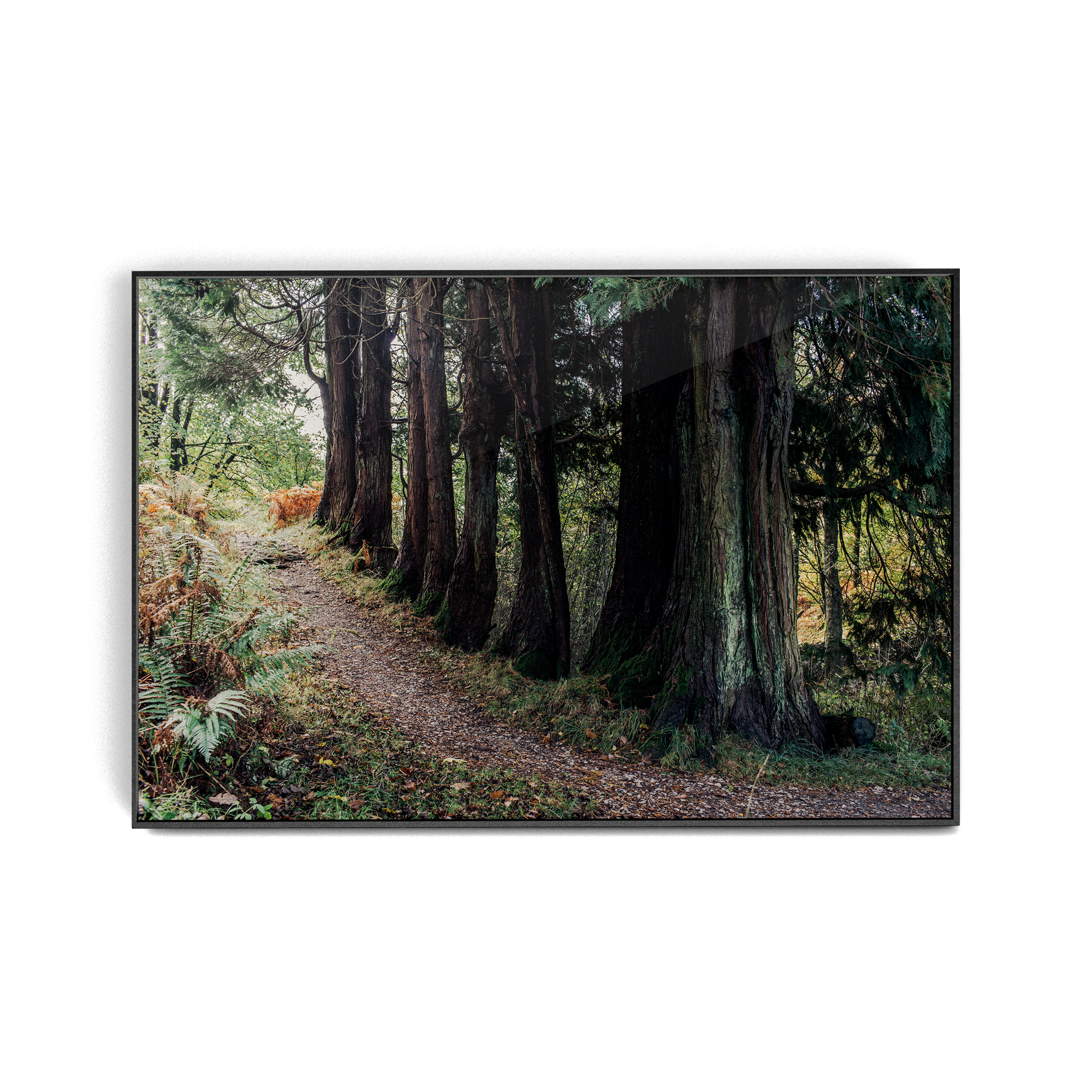 Coniston: Brethren photographic print
