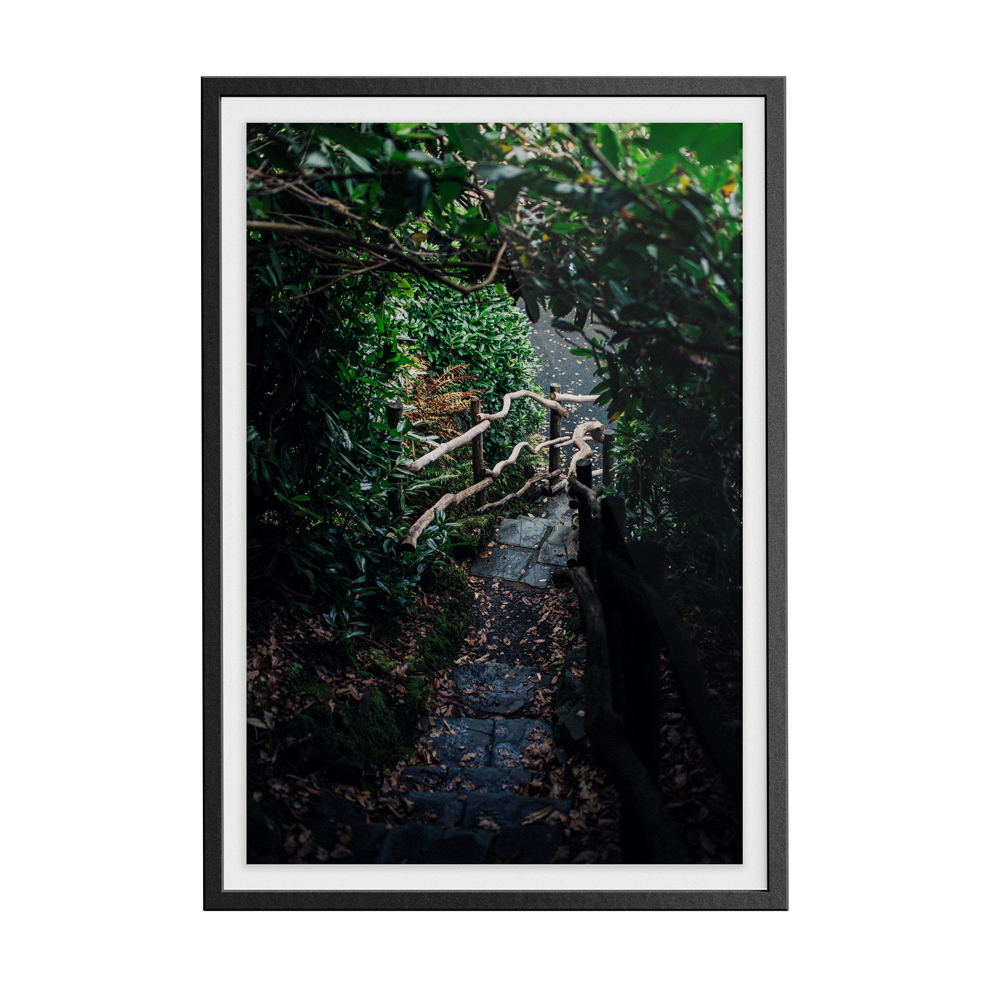 Coniston: Ruskin Steps photographic print
