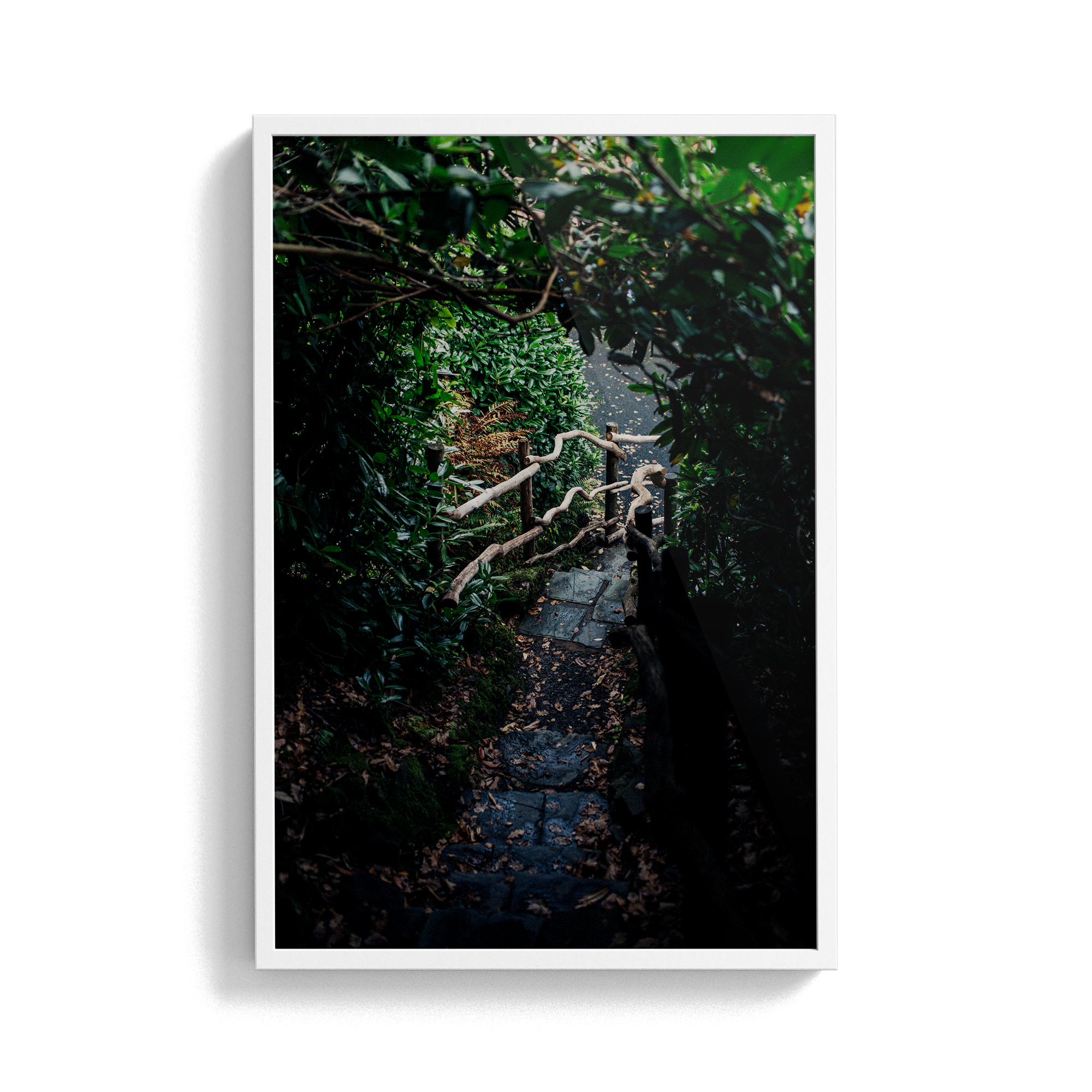 Coniston: Ruskin Steps photographic print