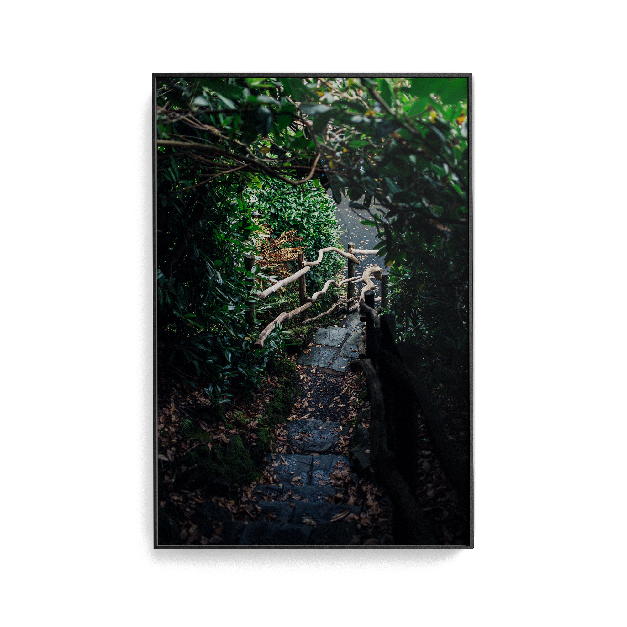 Coniston: Ruskin Steps photographic print
