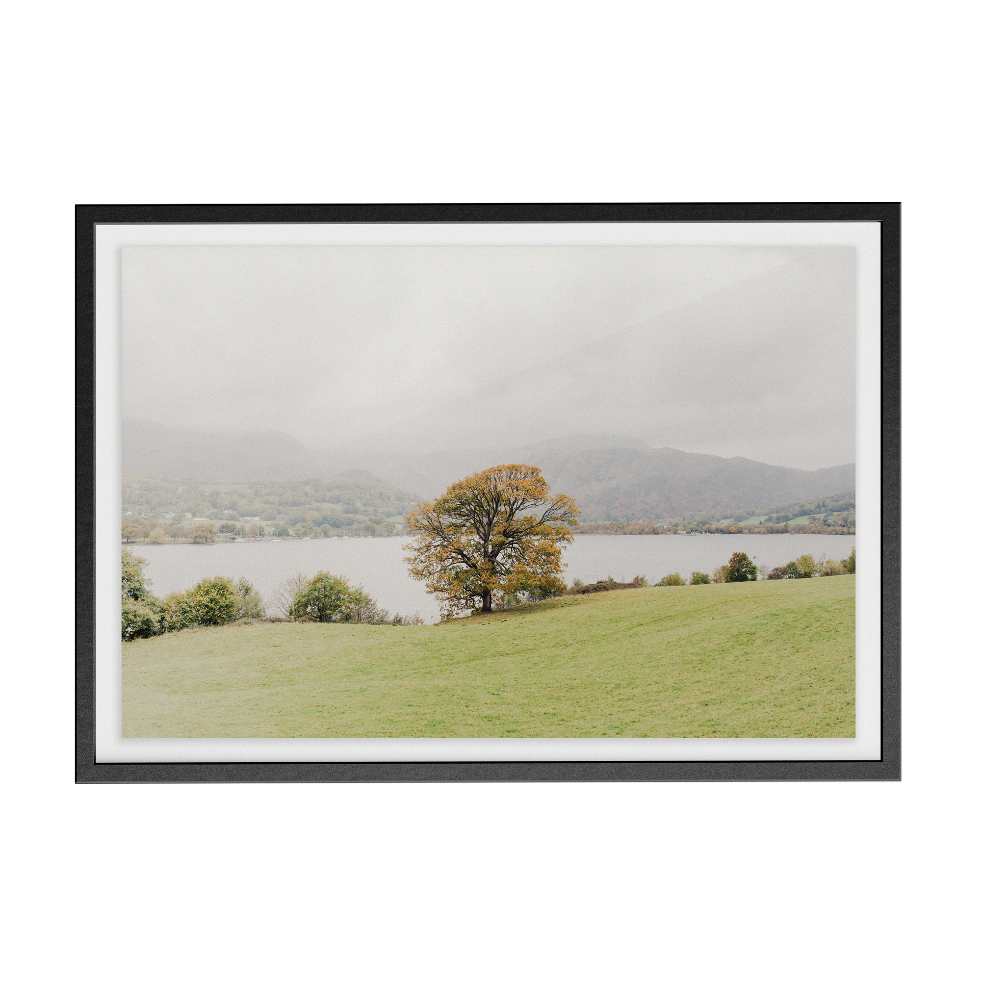 Coniston: Swallows photographic print