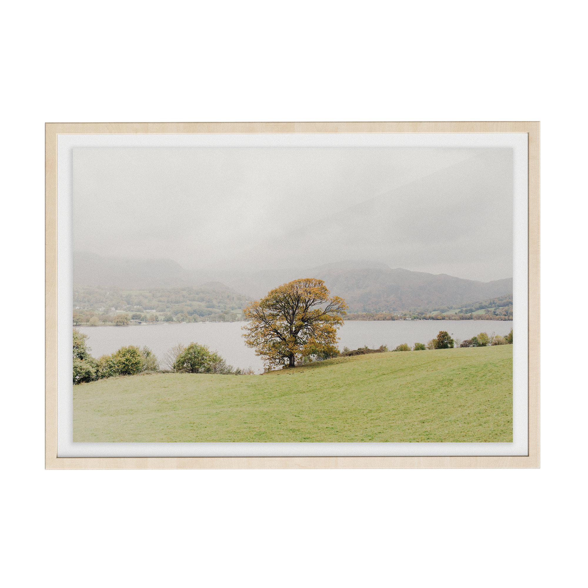 Coniston: Swallows photographic print