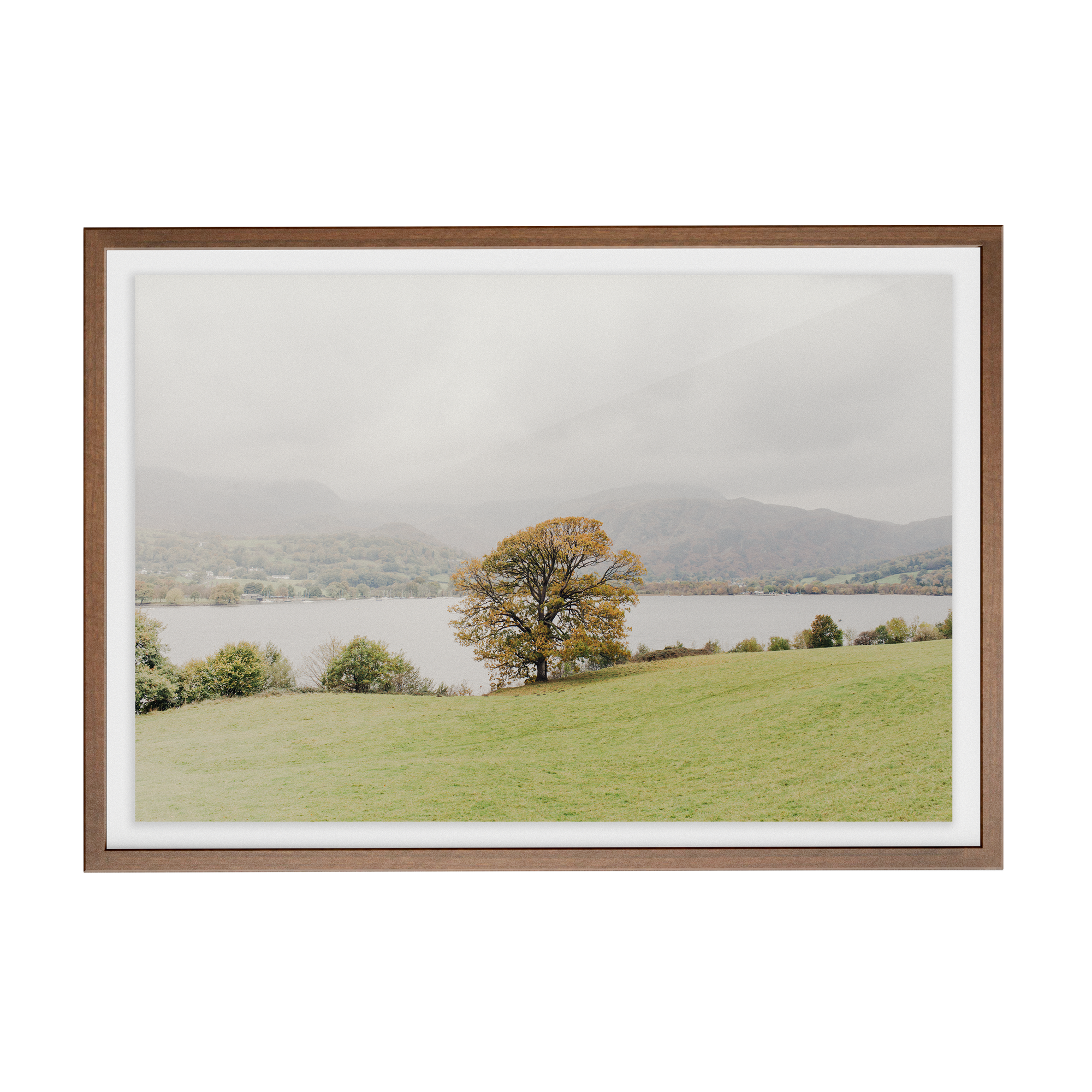 Coniston: Swallows photographic print