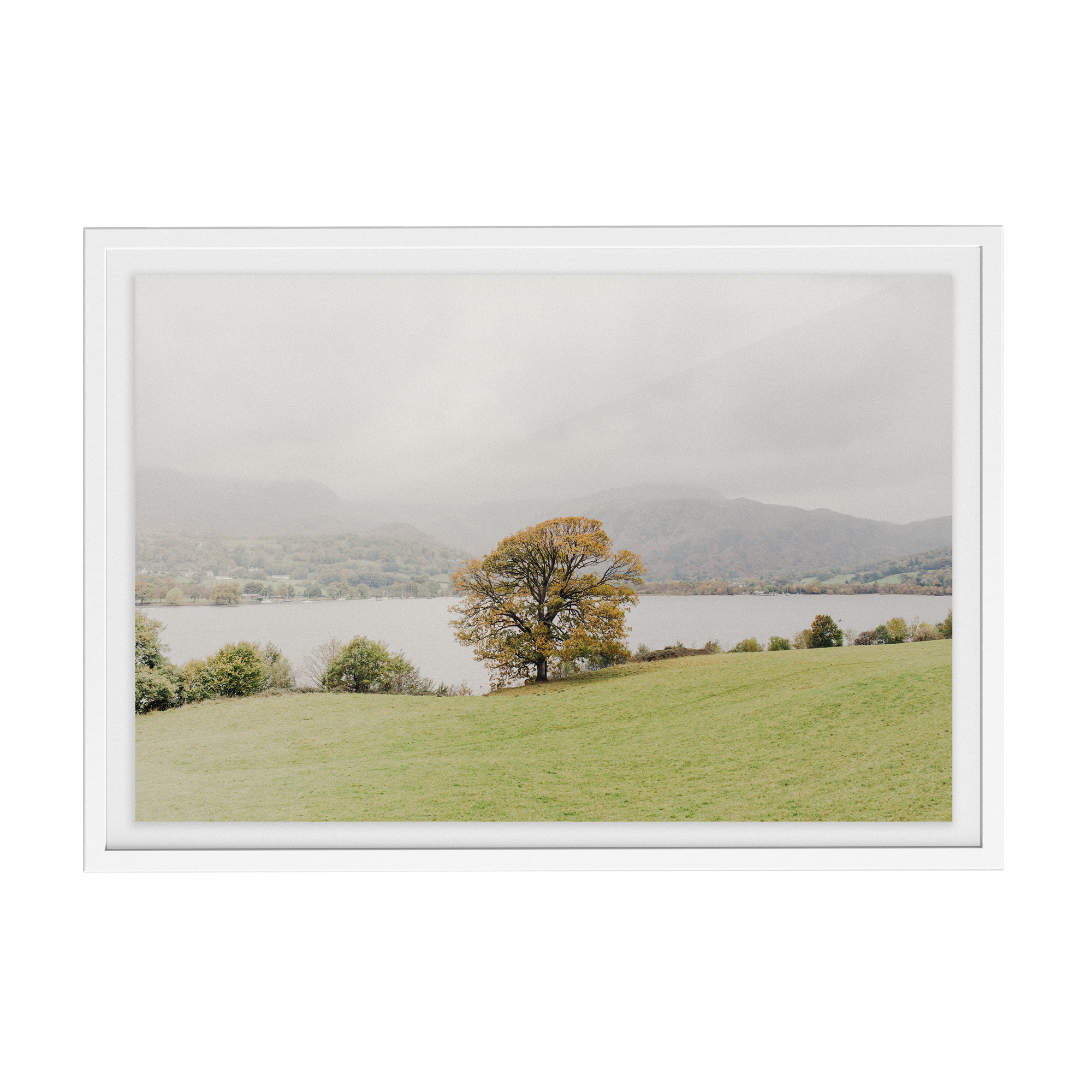 Coniston: Swallows photographic print