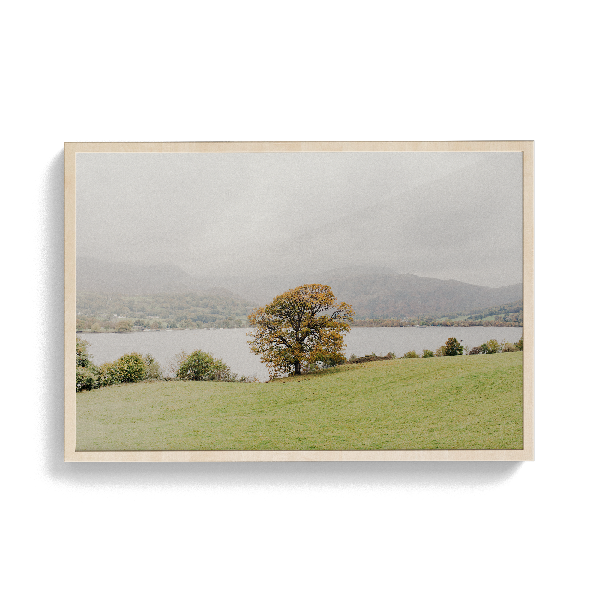 Coniston: Swallows photographic print