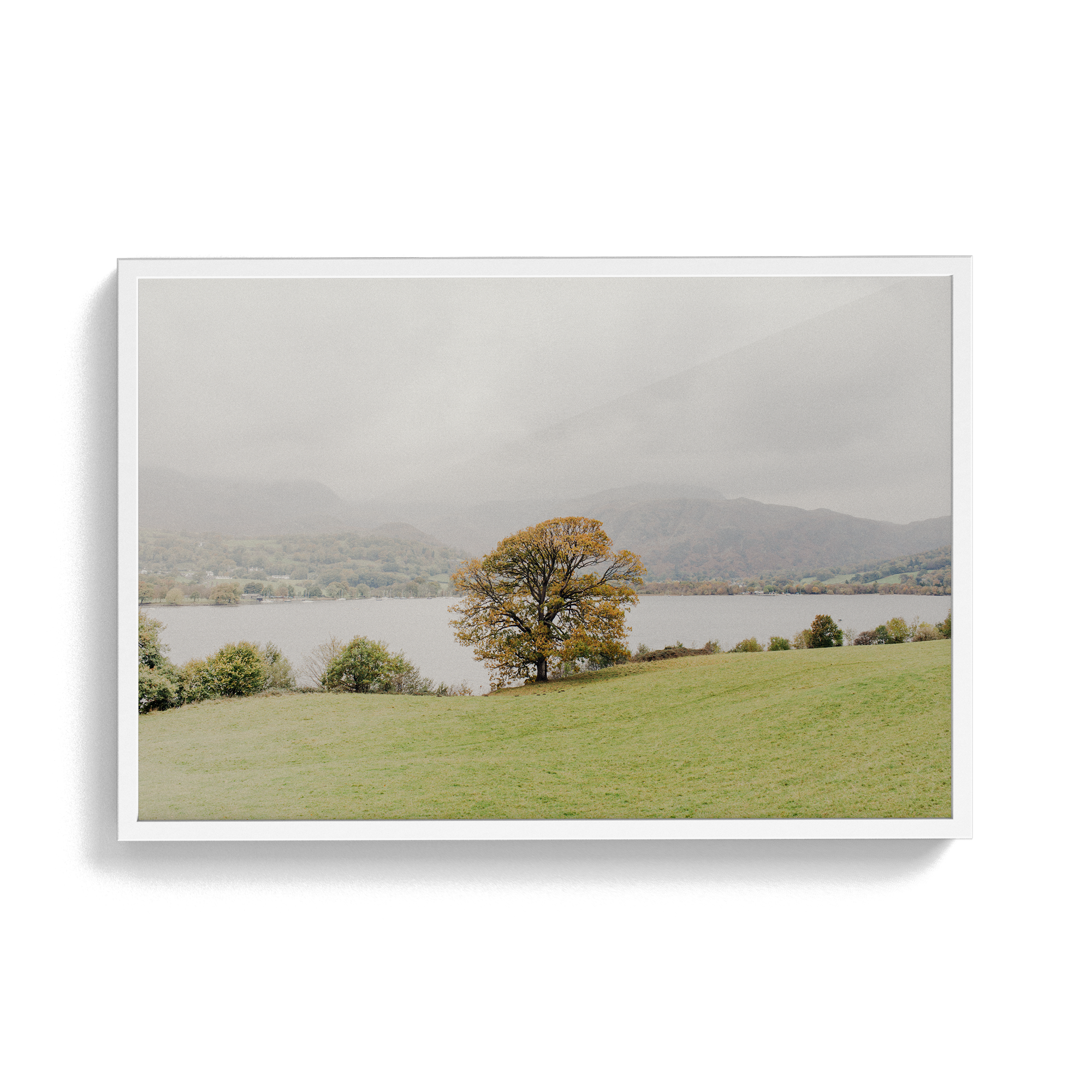 Coniston: Swallows photographic print