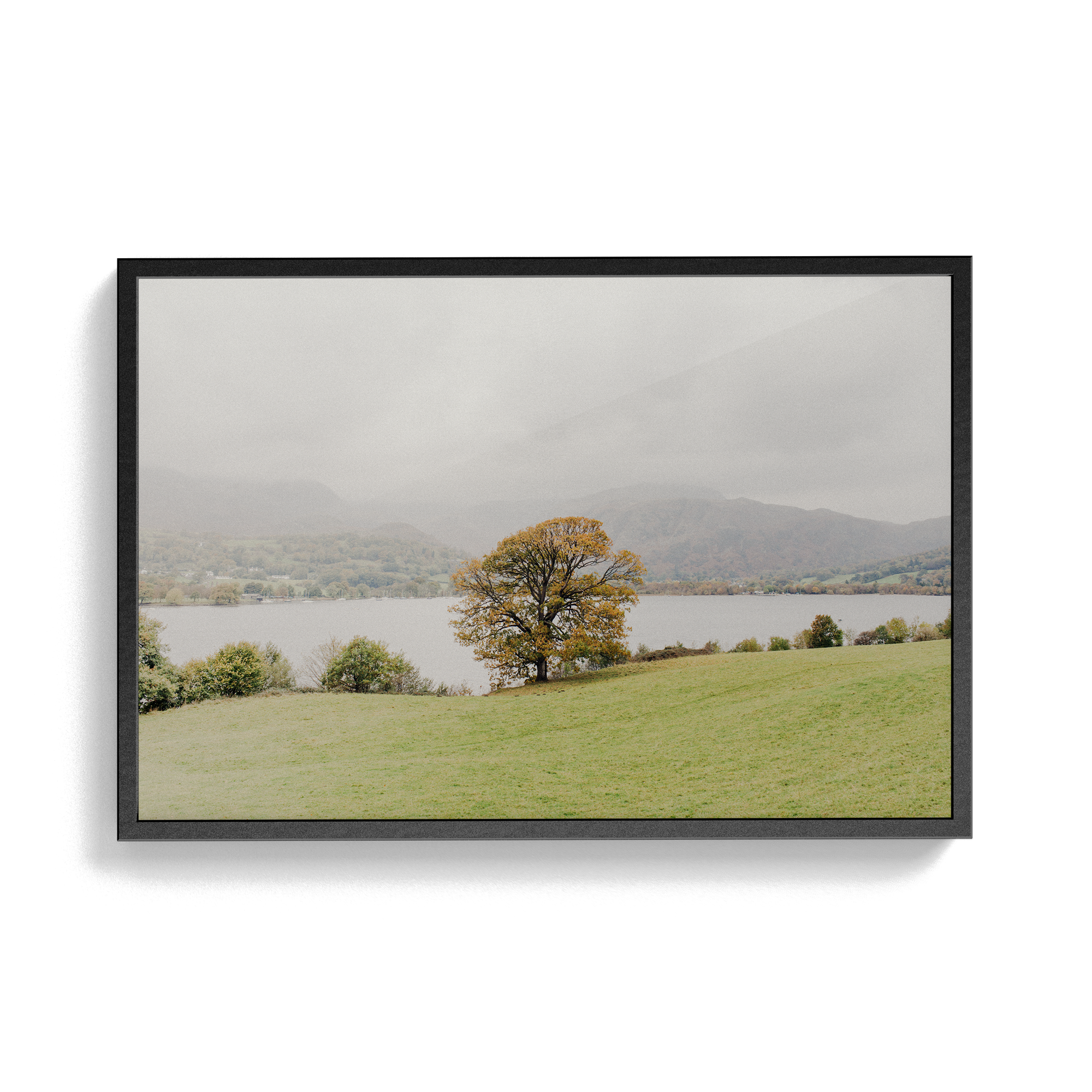 Coniston: Swallows photographic print