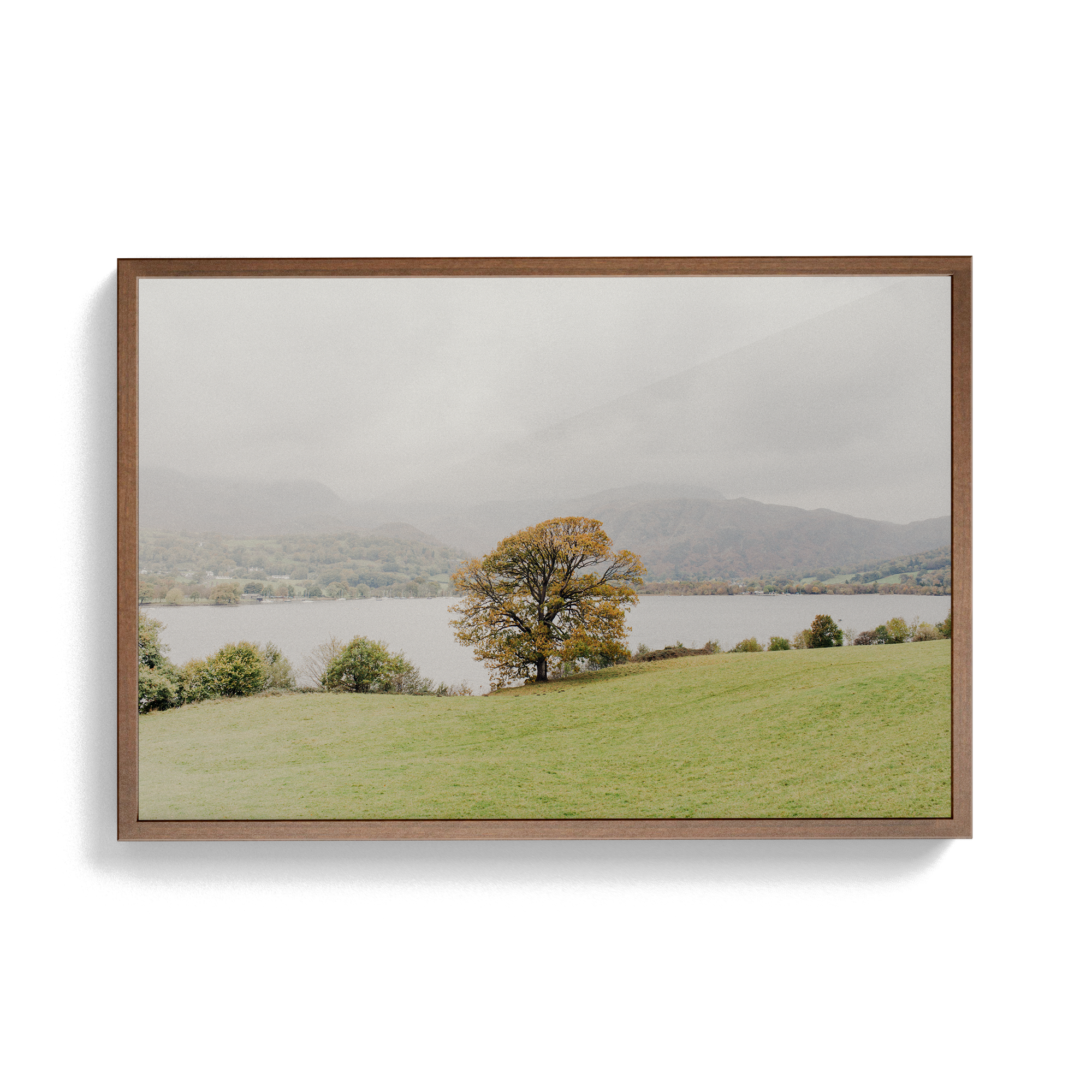 Coniston: Swallows photographic print