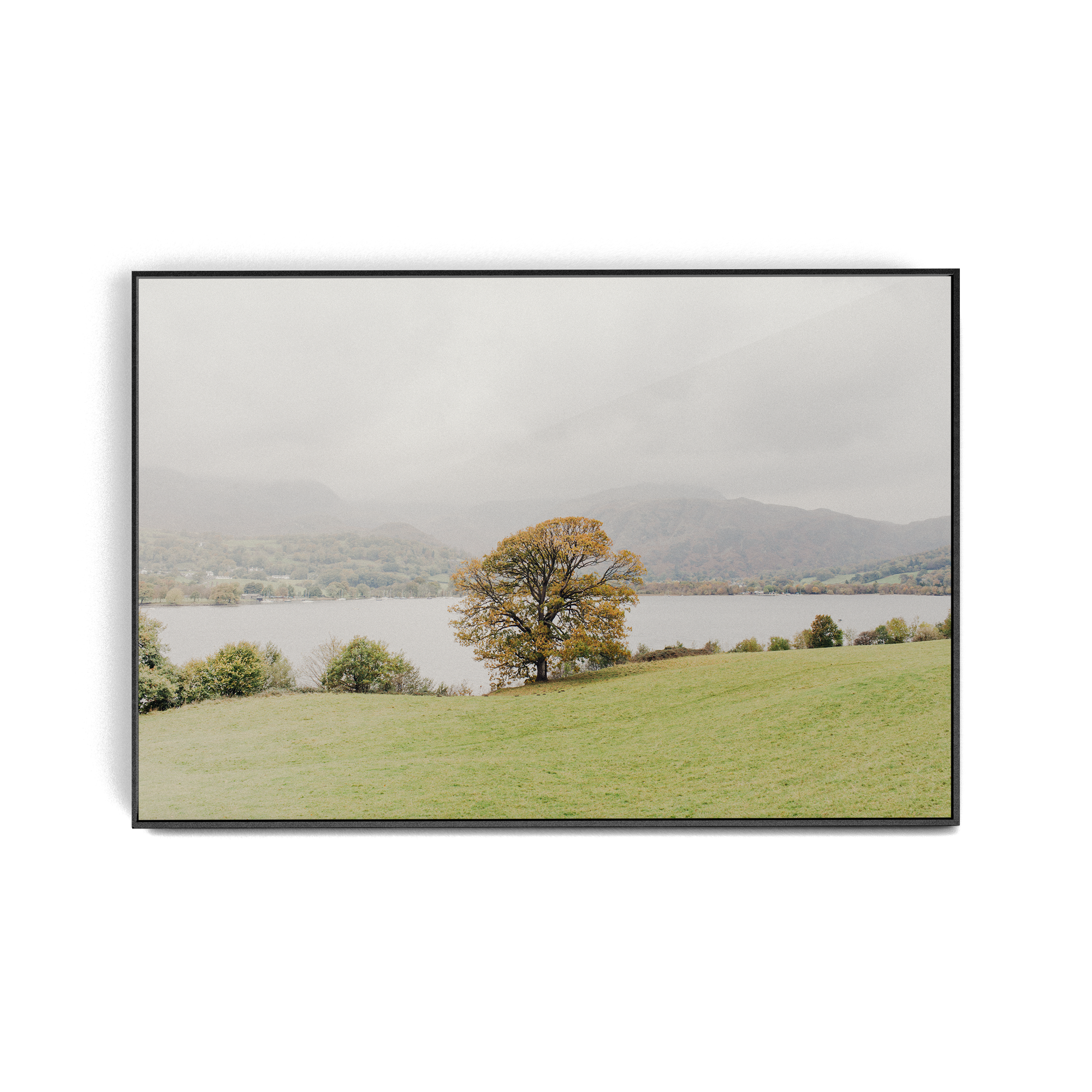 Coniston: Swallows photographic print