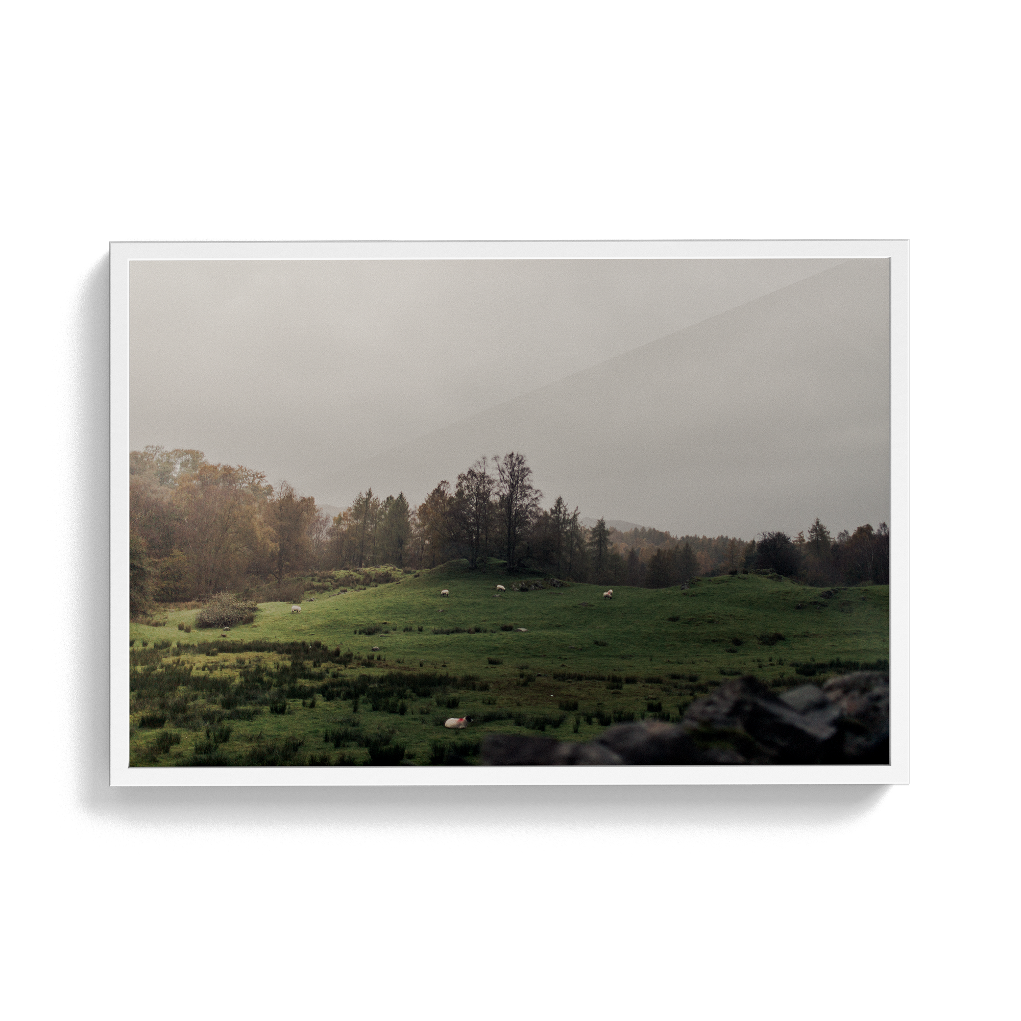 Coniston: The Followes photographic print