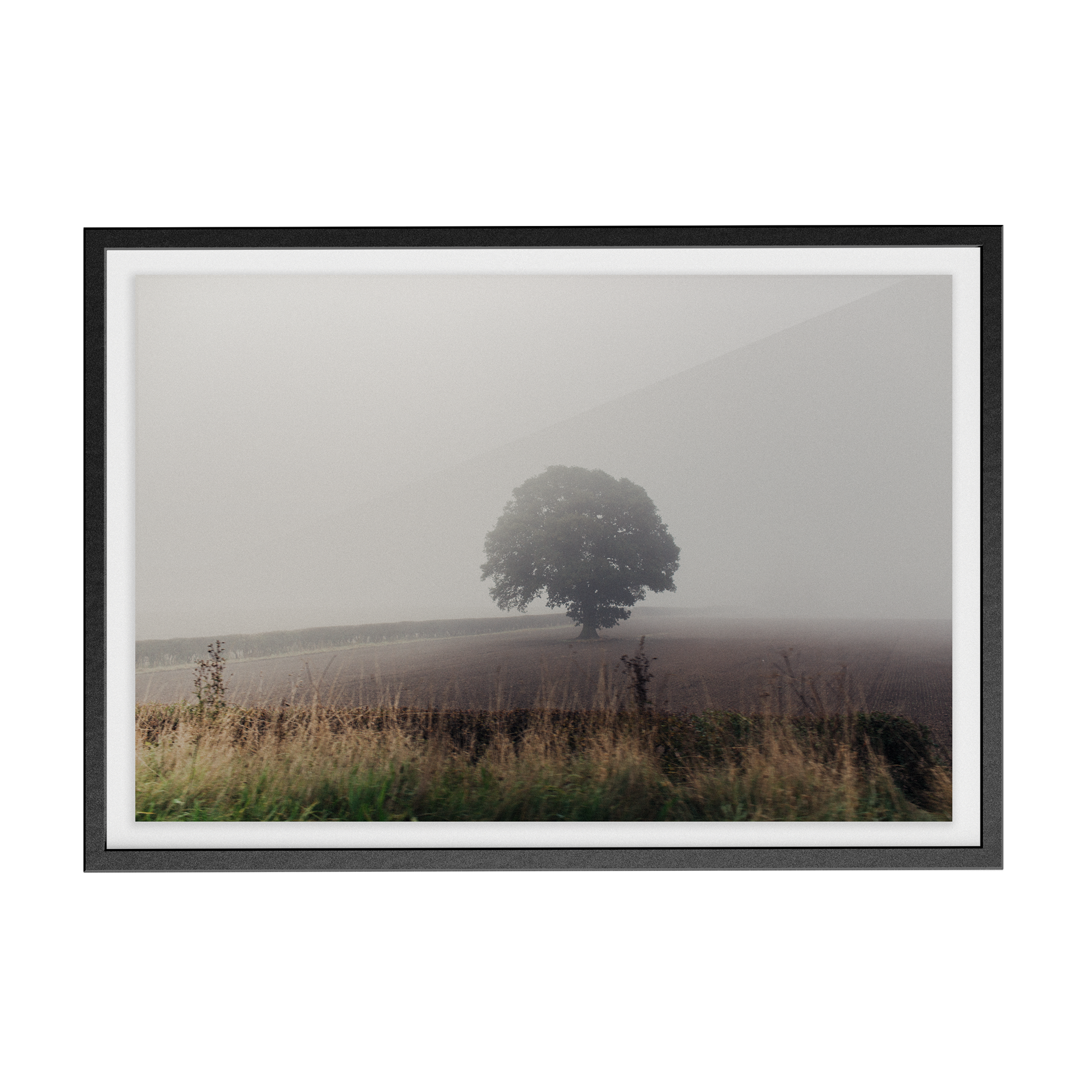 Coniston: The Vale photographic print