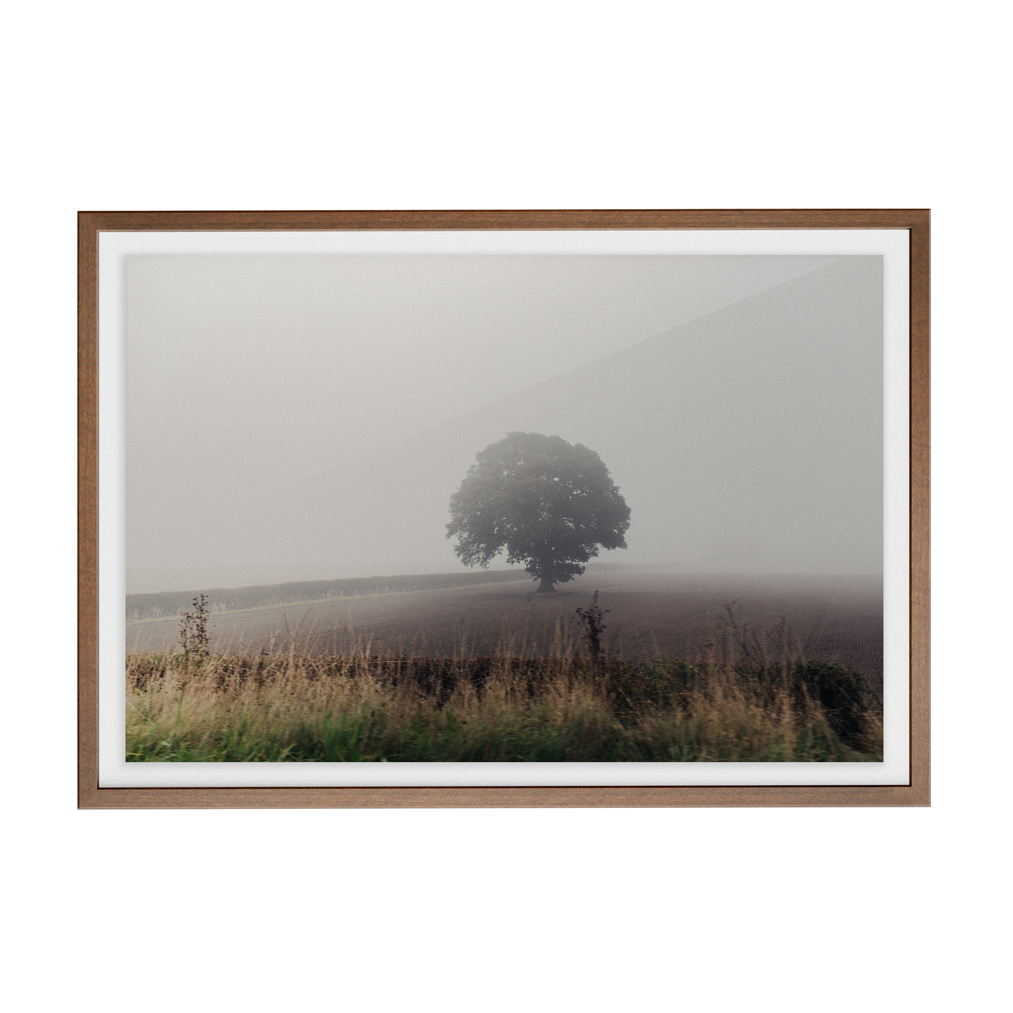 Coniston: The Vale photographic print
