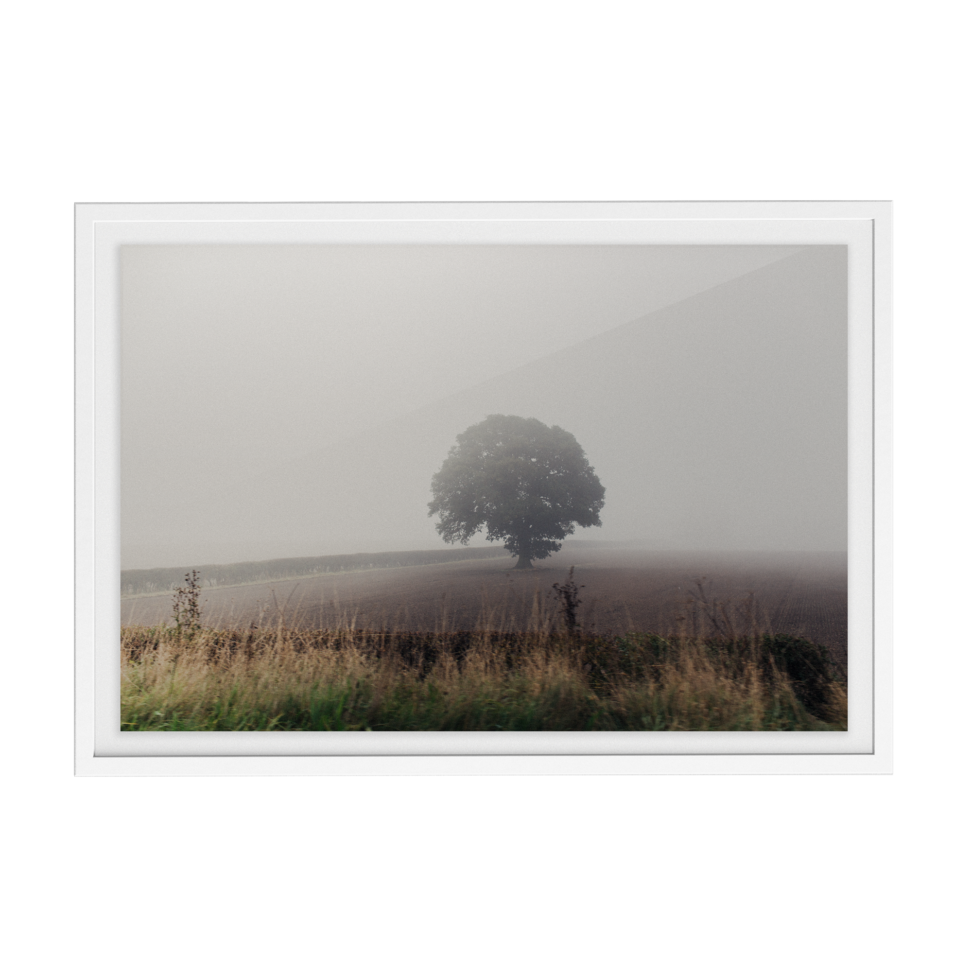 Coniston: The Vale photographic print