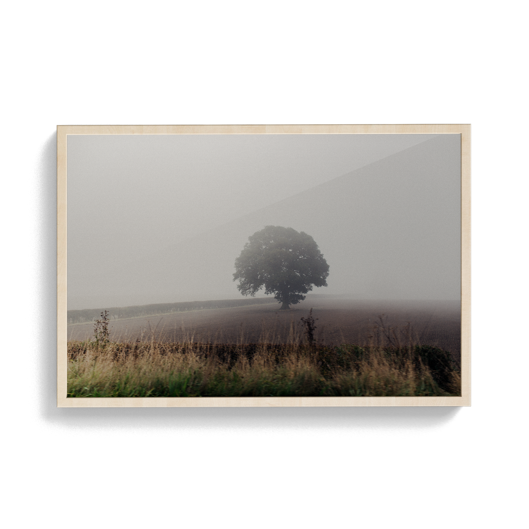 Coniston: The Vale photographic print
