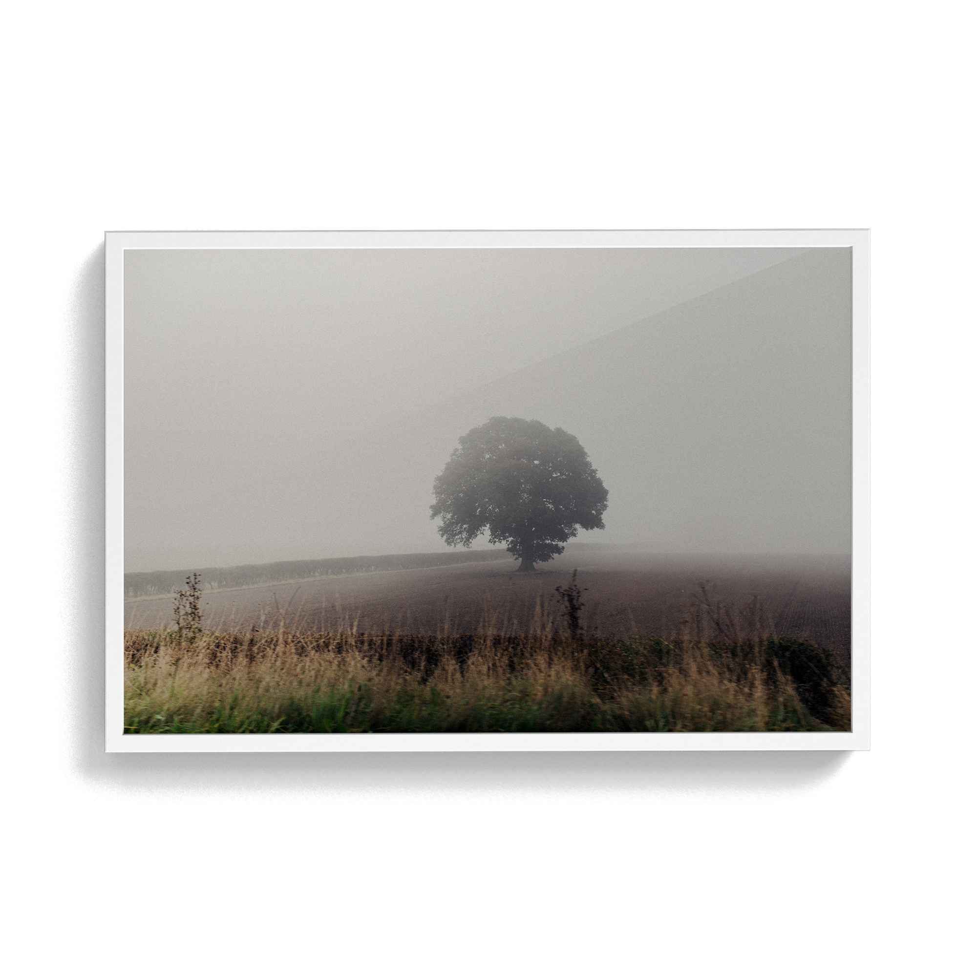 Coniston: The Vale photographic print