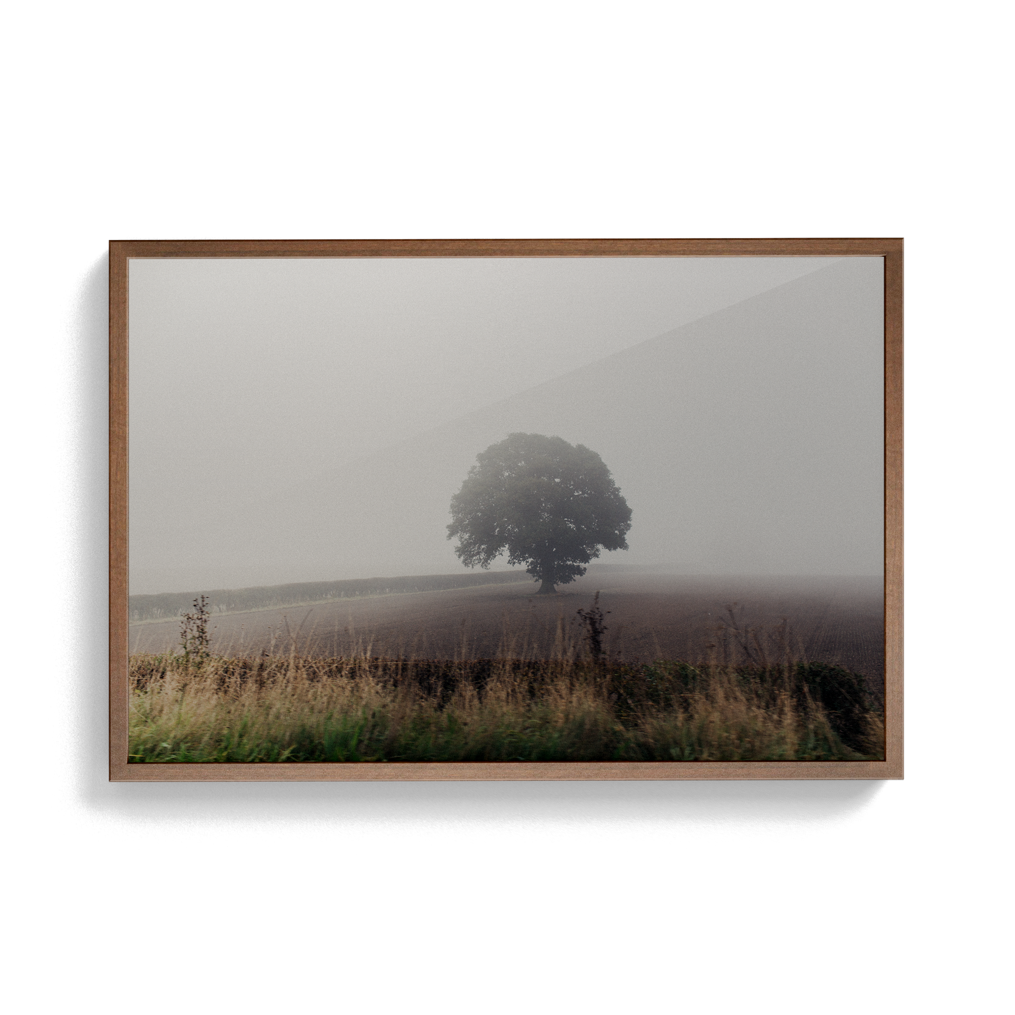 Coniston: The Vale photographic print