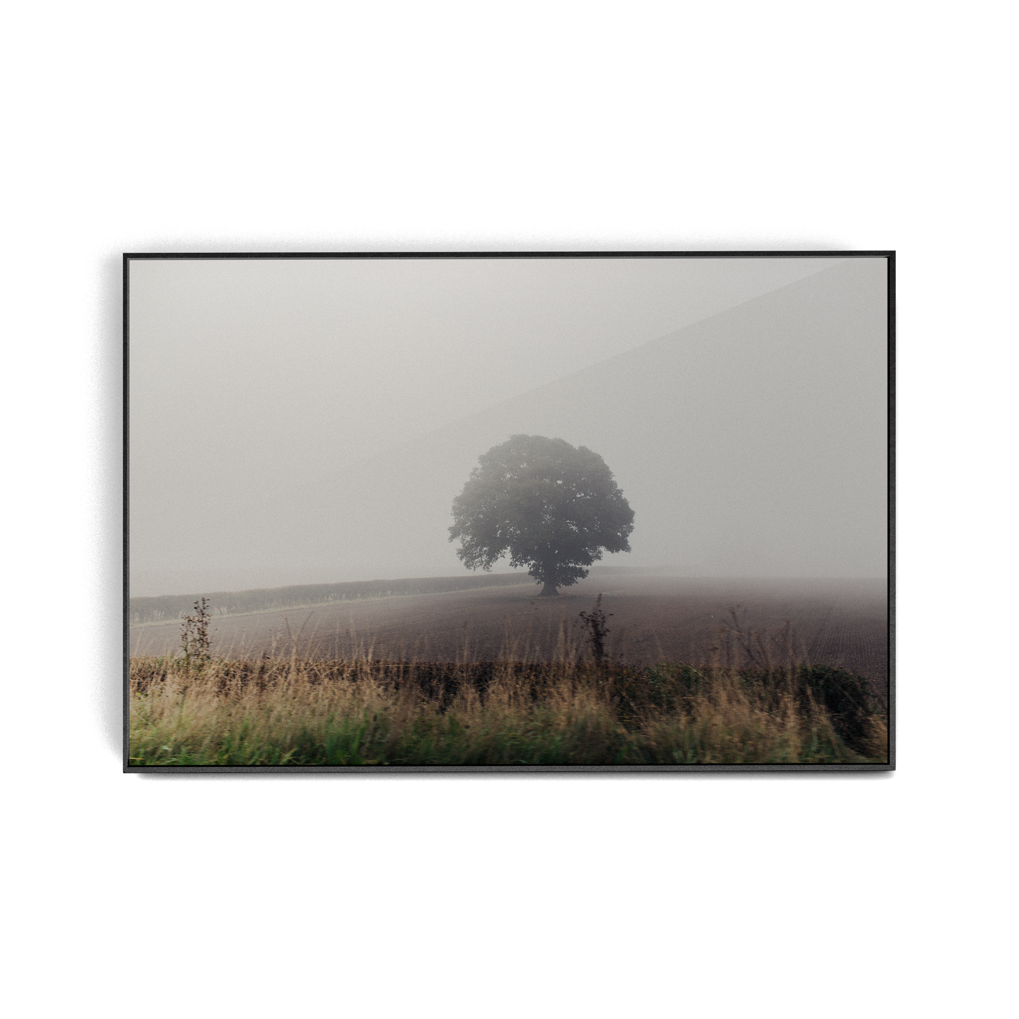 Coniston: The Vale photographic print
