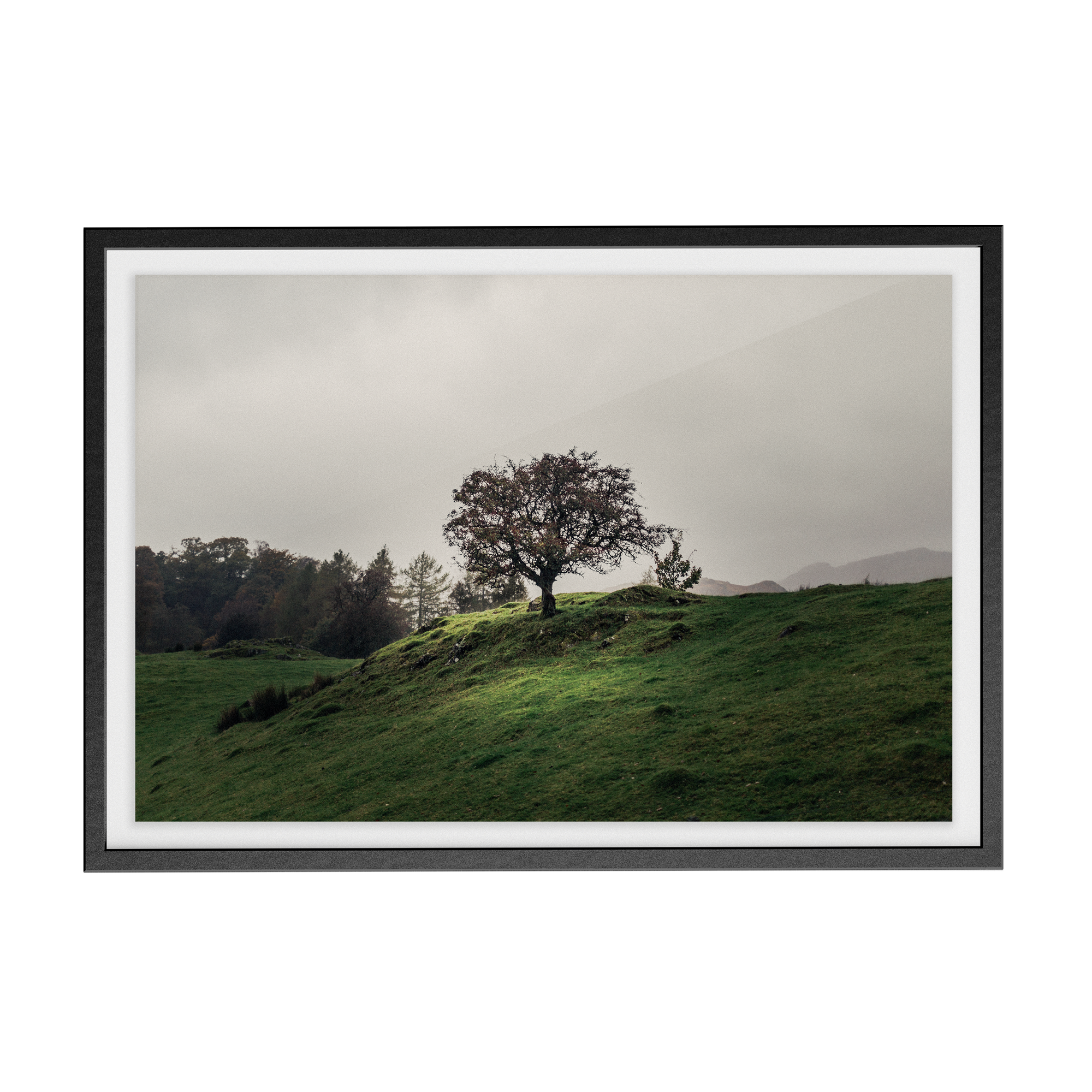 Coniston: Twisturna photographic print