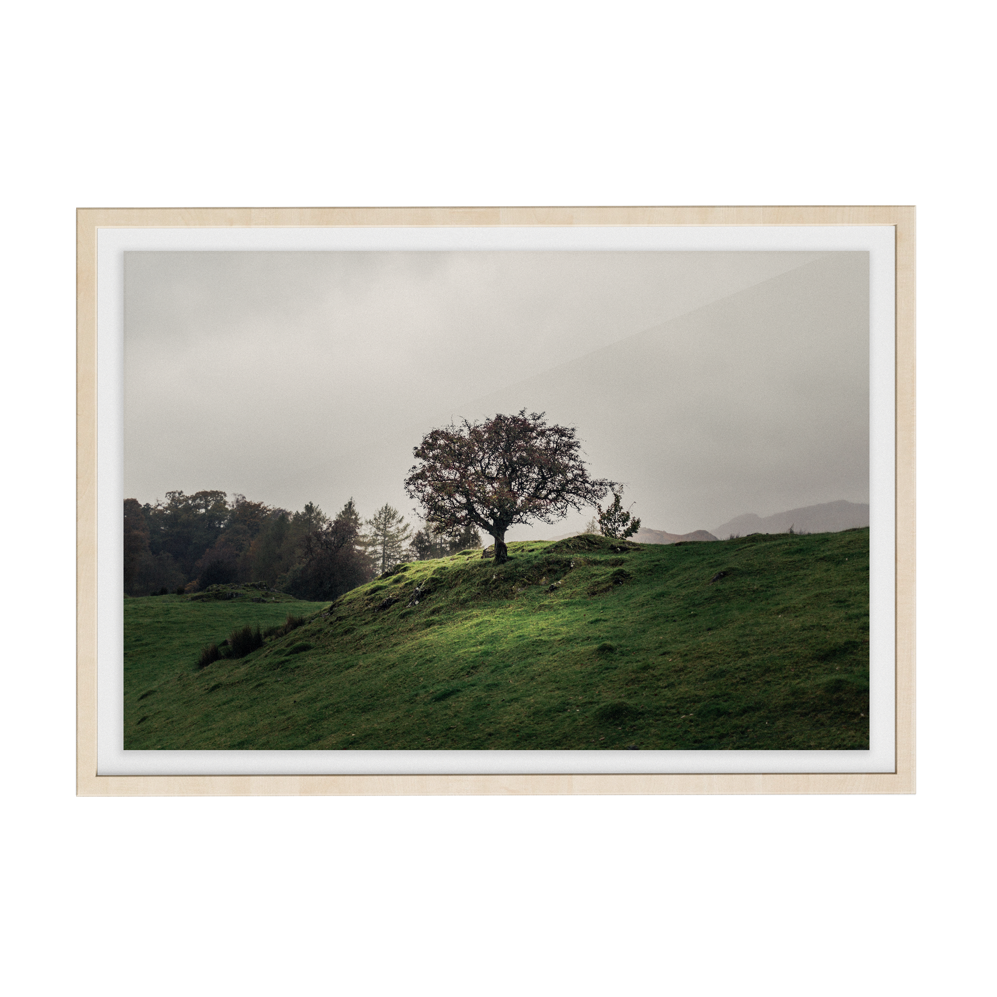 Coniston: Twisturna photographic print