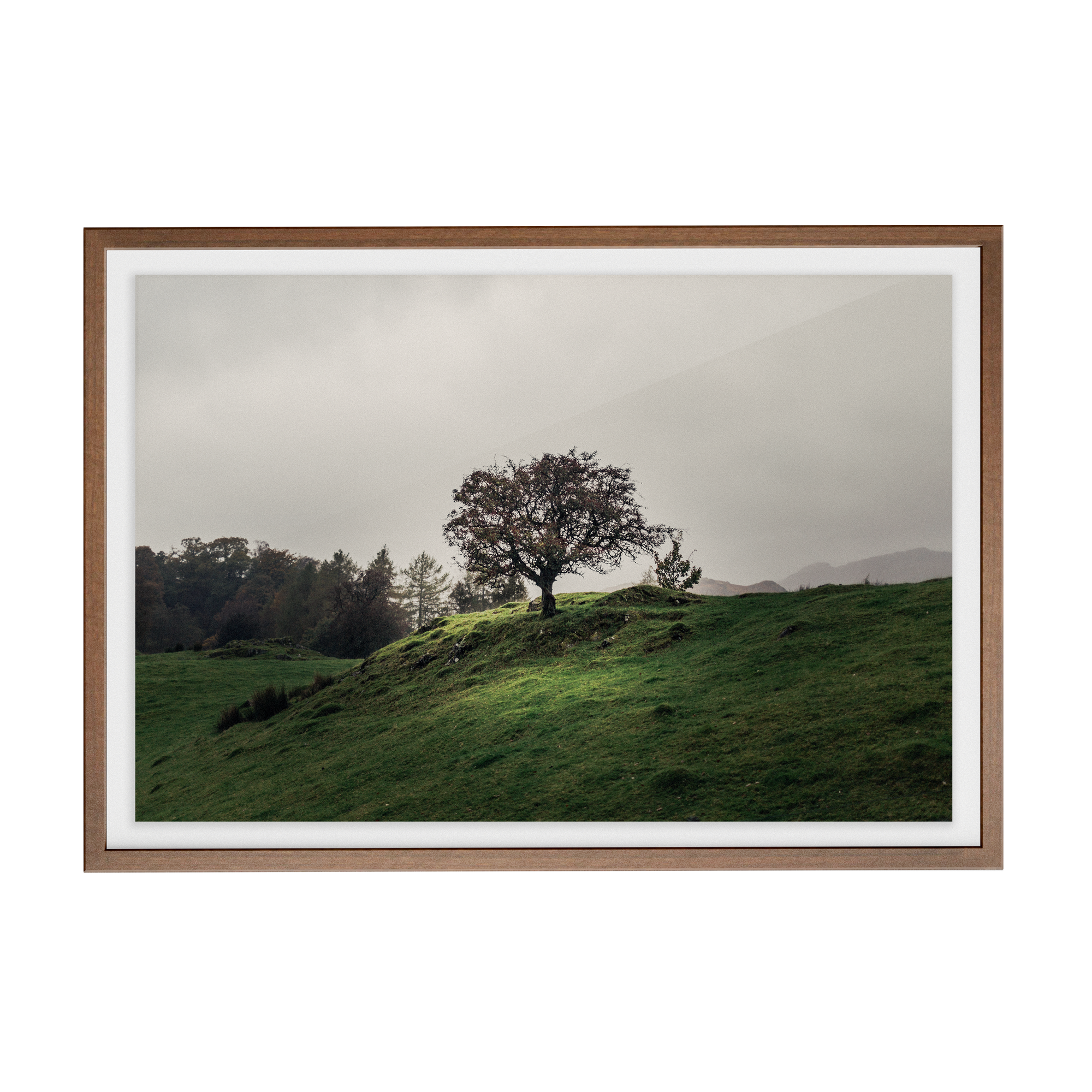 Coniston: Twisturna photographic print