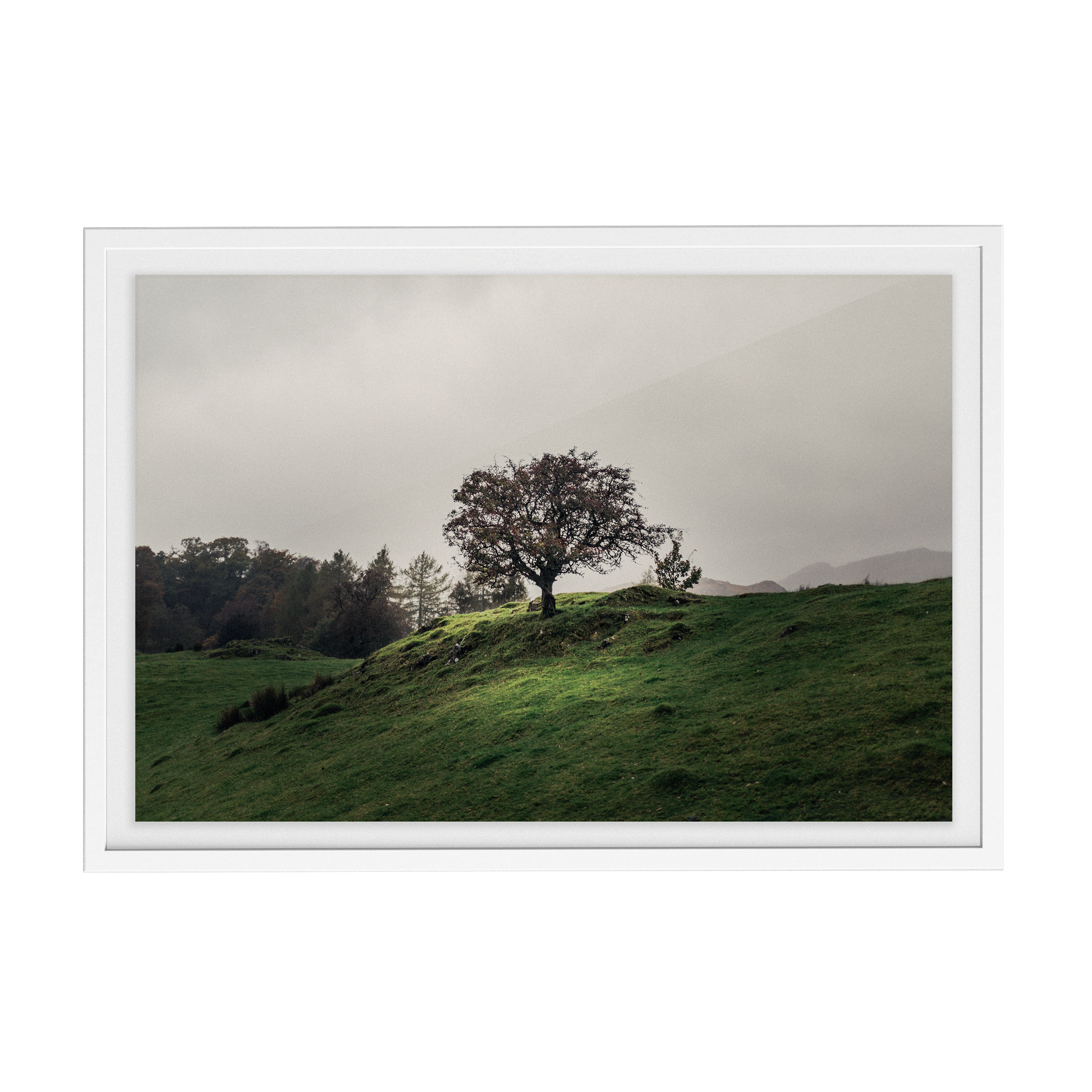 Coniston: Twisturna photographic print