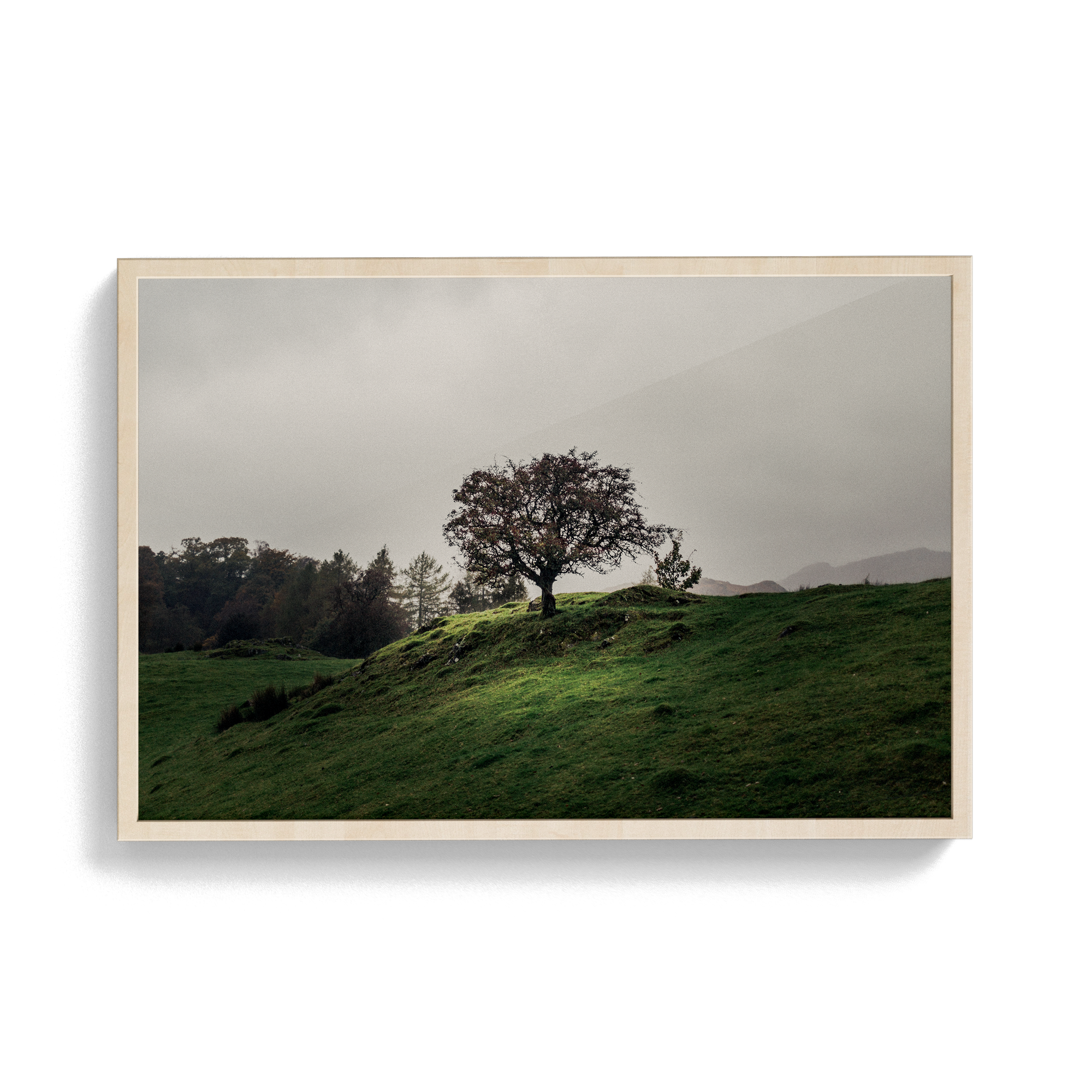 Coniston: Twisturna photographic print