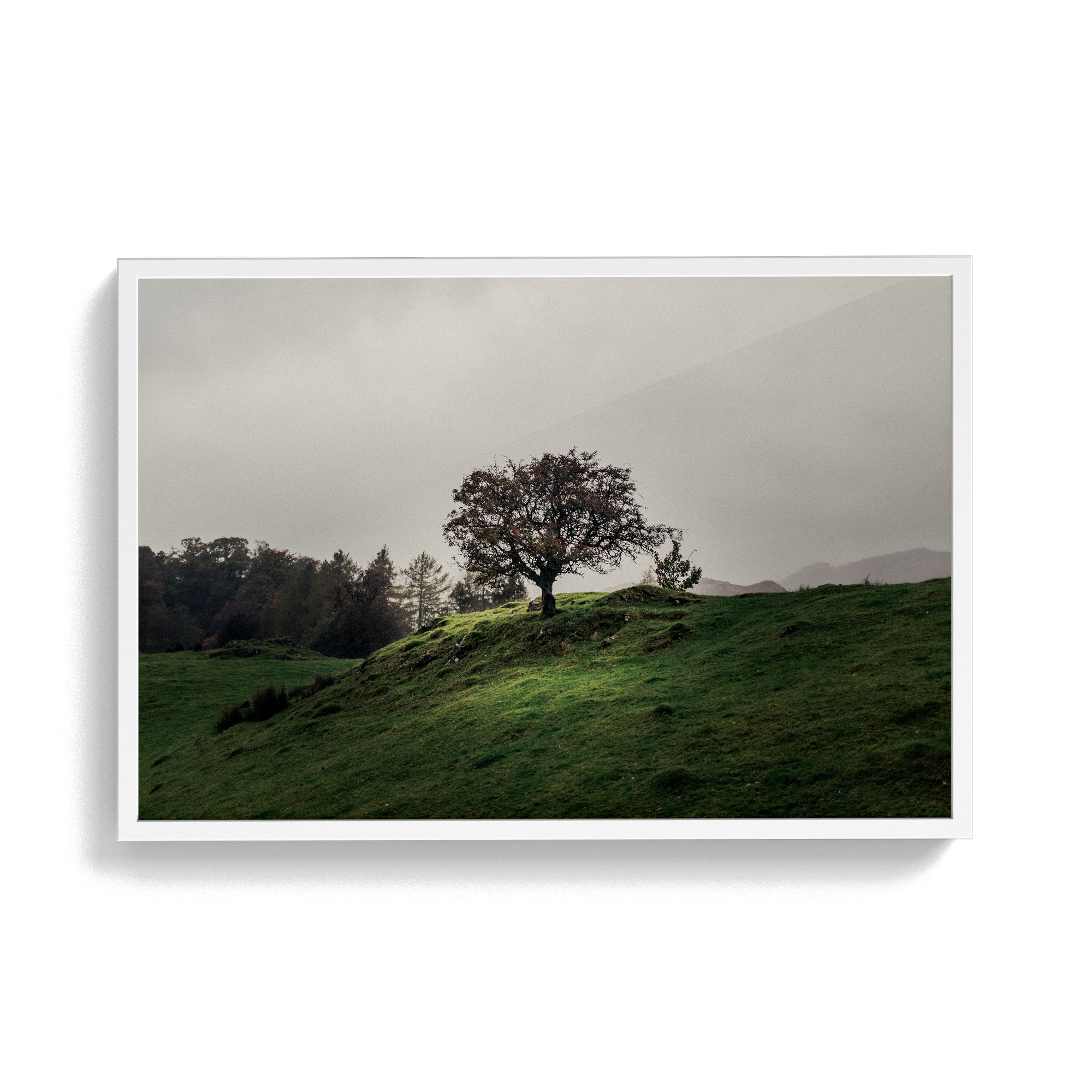 Coniston: Twisturna photographic print