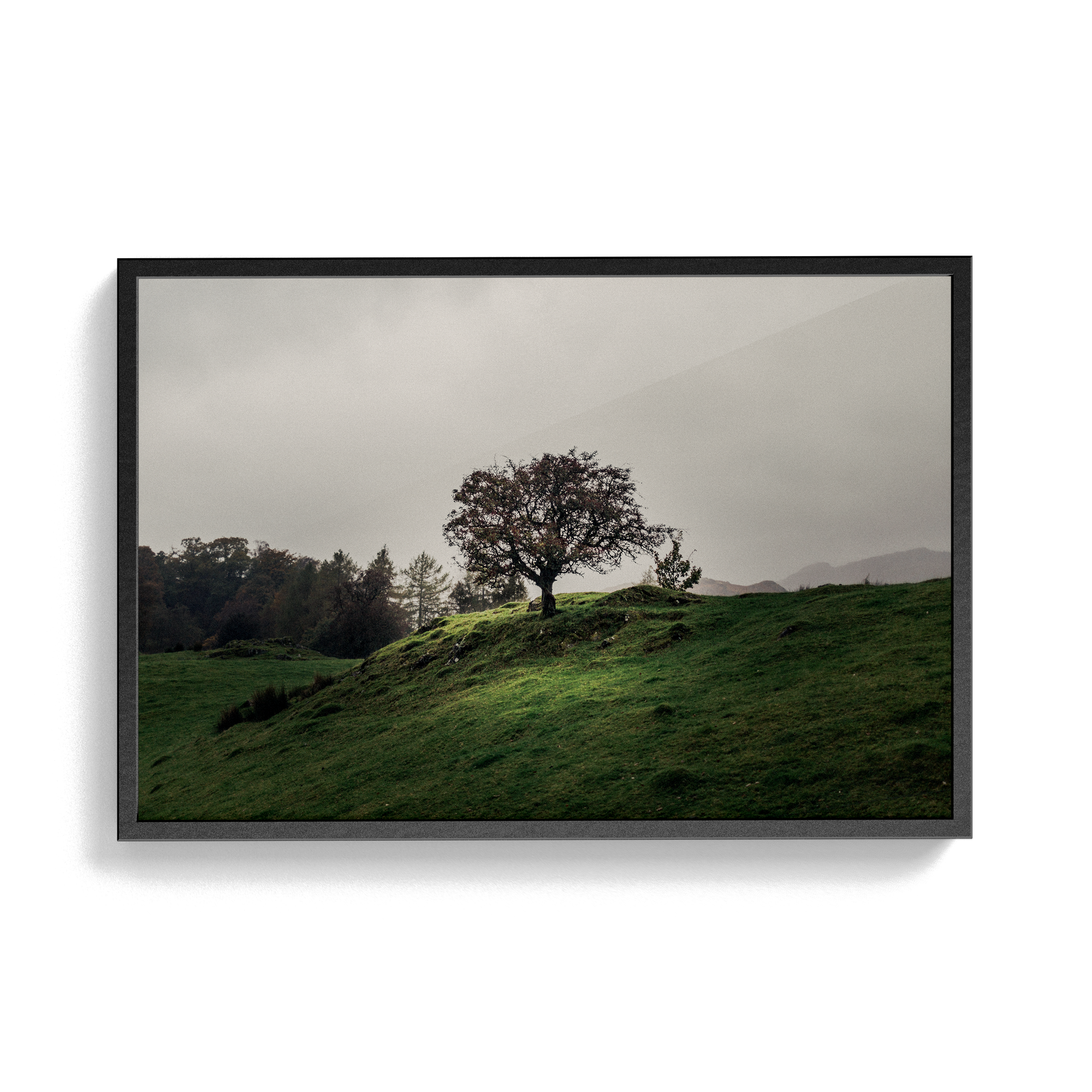 Coniston: Twisturna photographic print