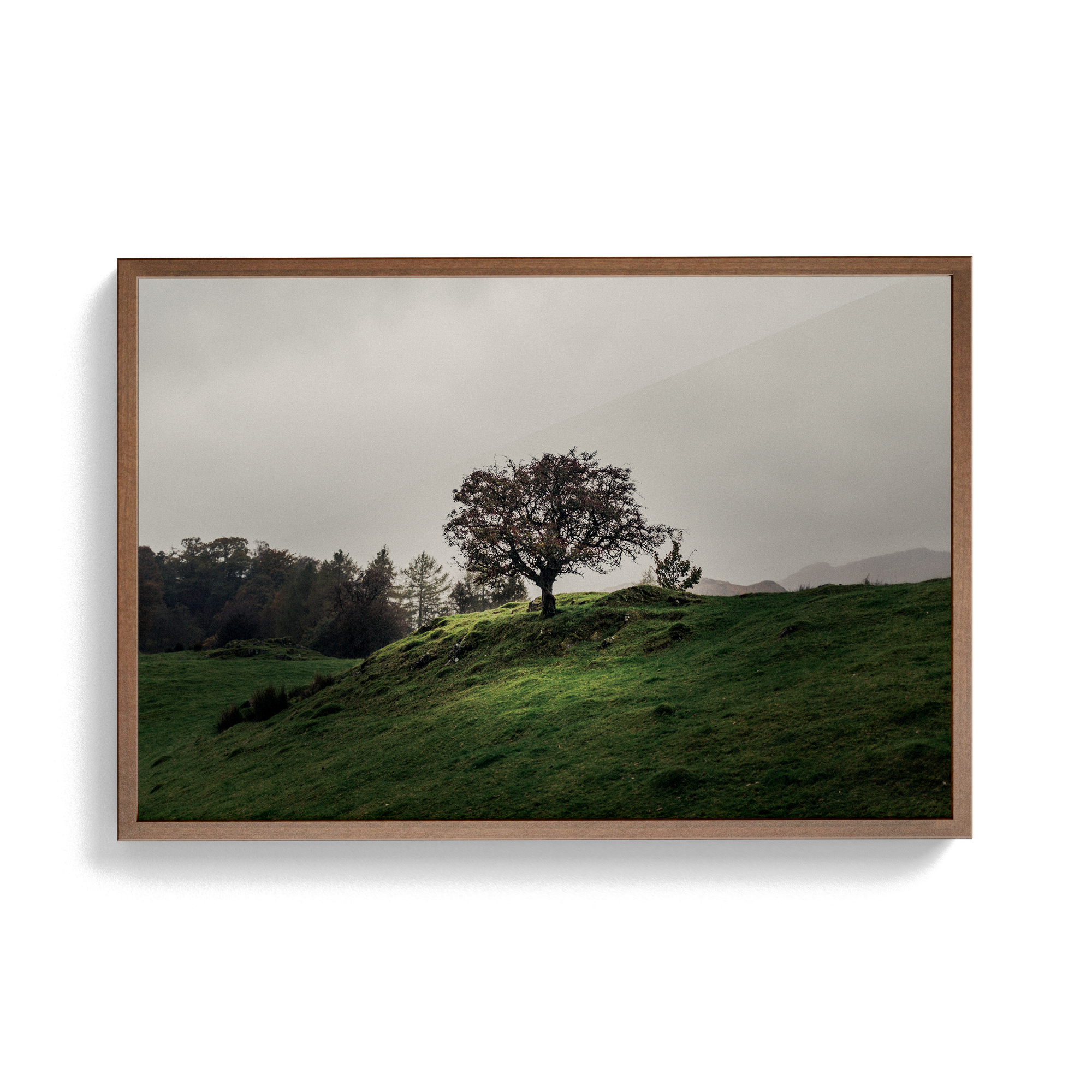 Coniston: Twisturna photographic print