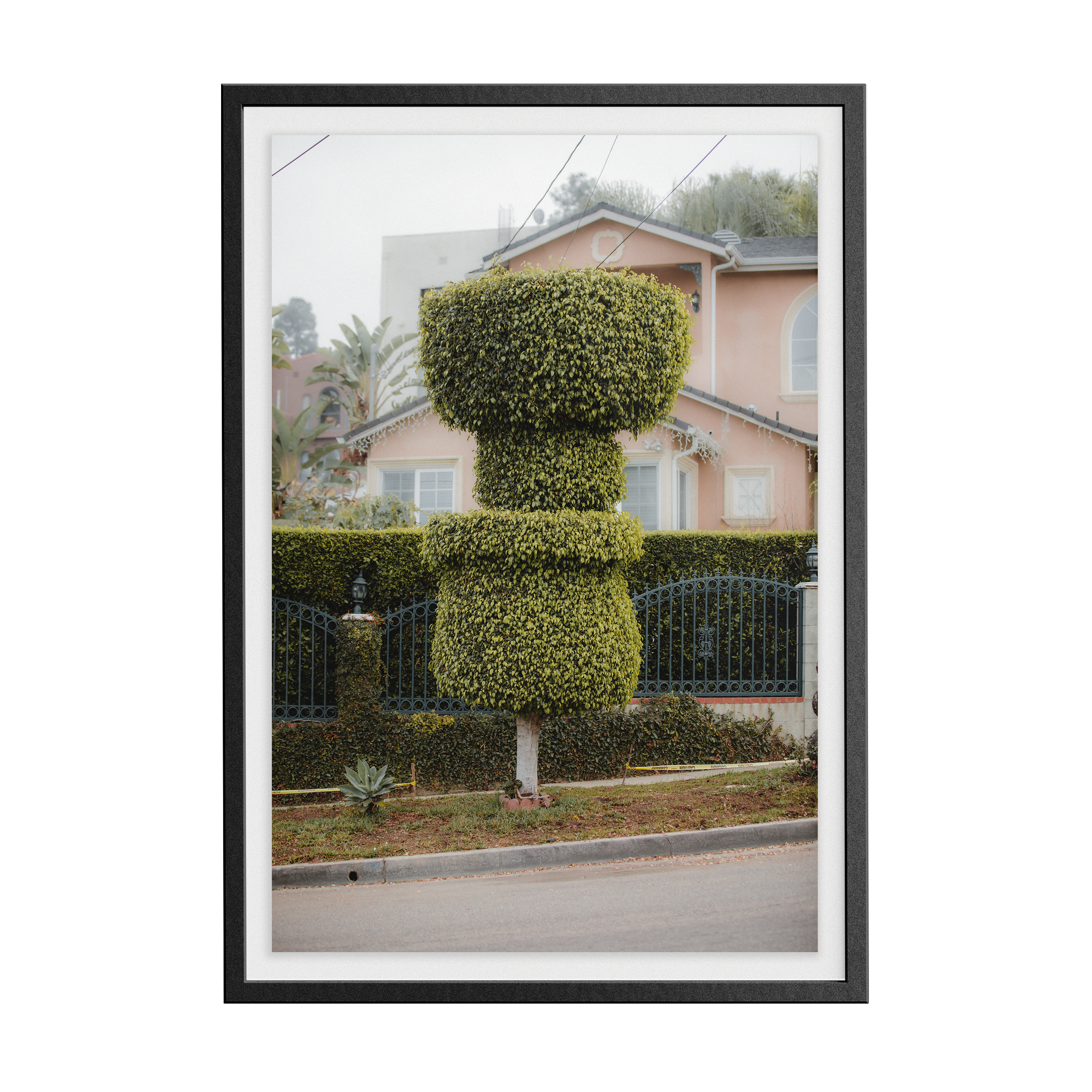 Double Sunday (02) photographic print