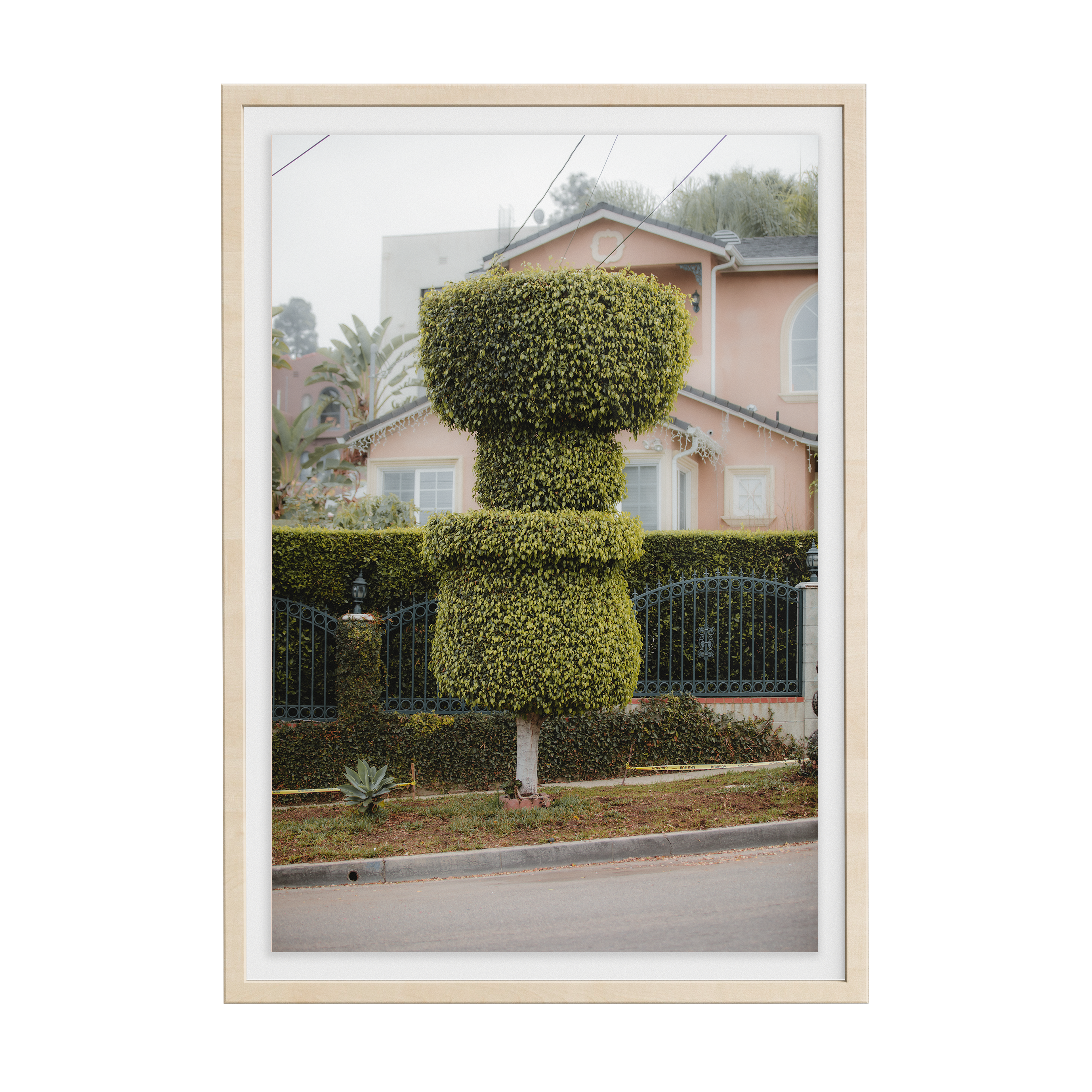 Double Sunday (02) photographic print