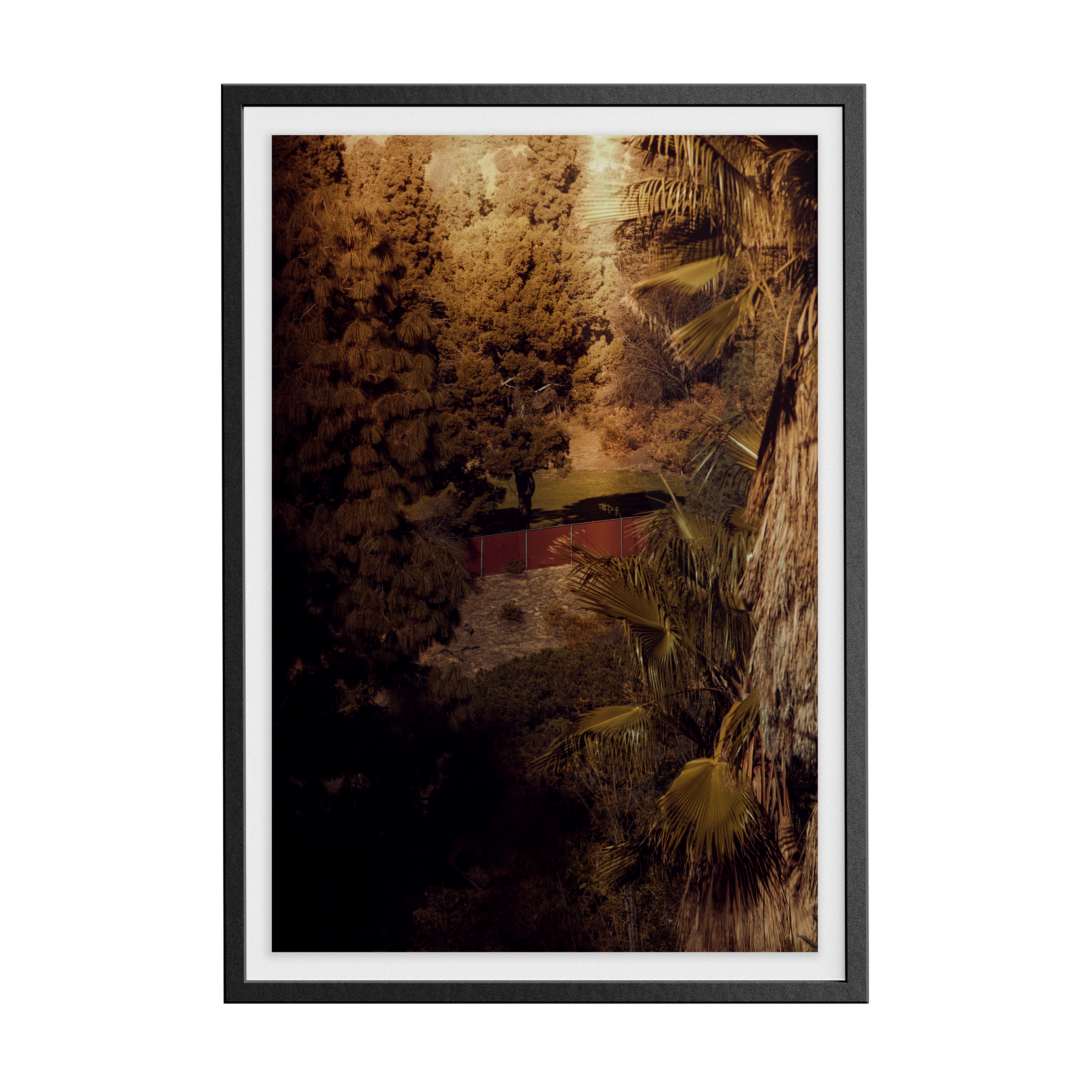 Double Sunday (03) photographic print