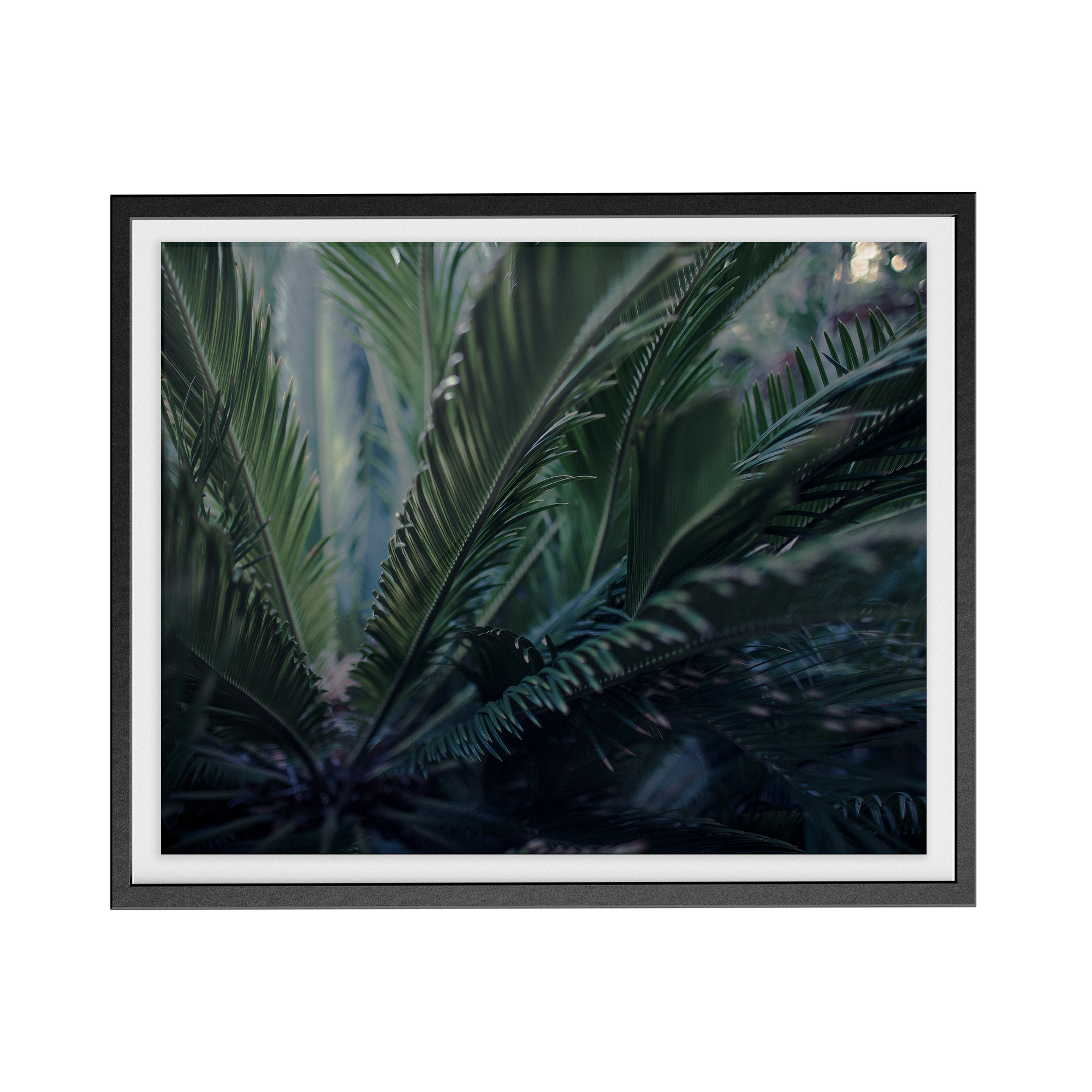Dusk photographic print