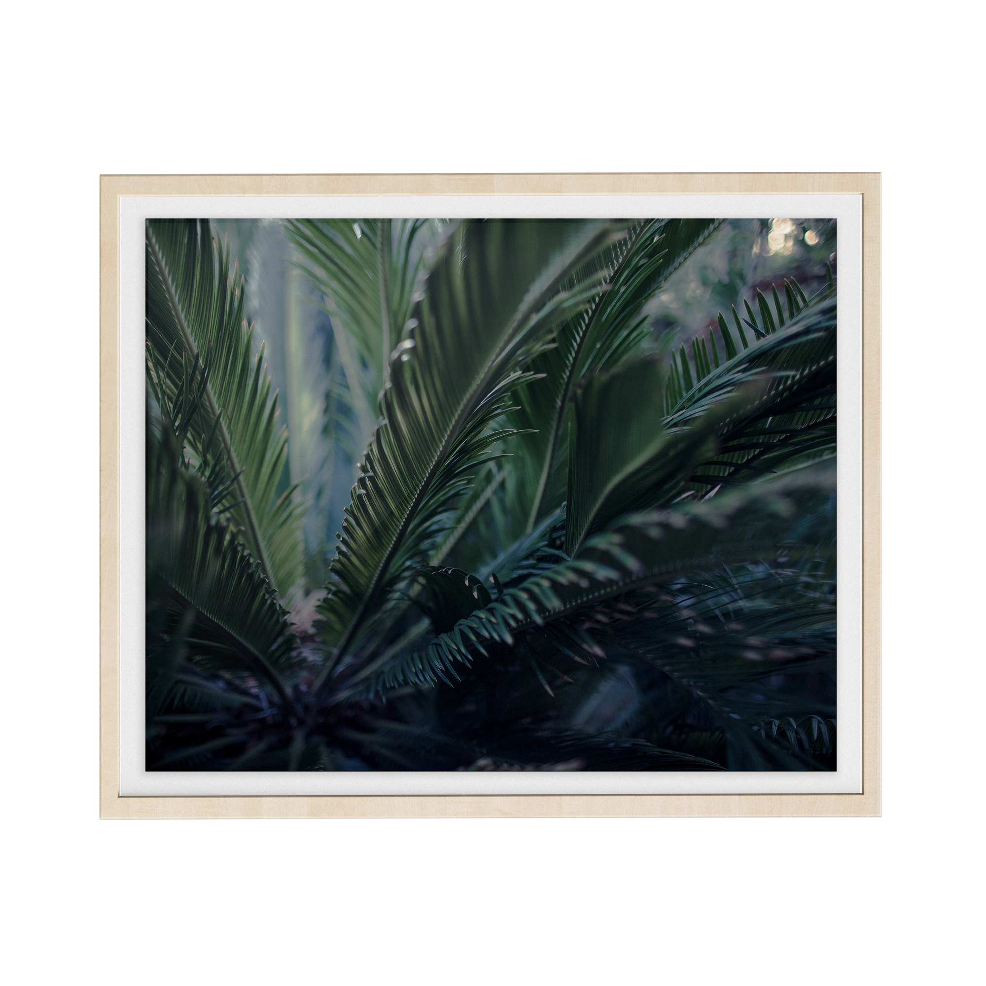 Dusk photographic print