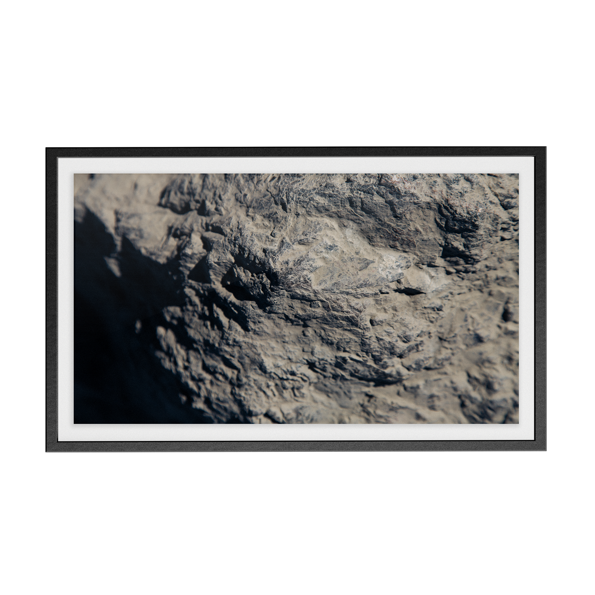 Echo Forest (xvi) photographic print