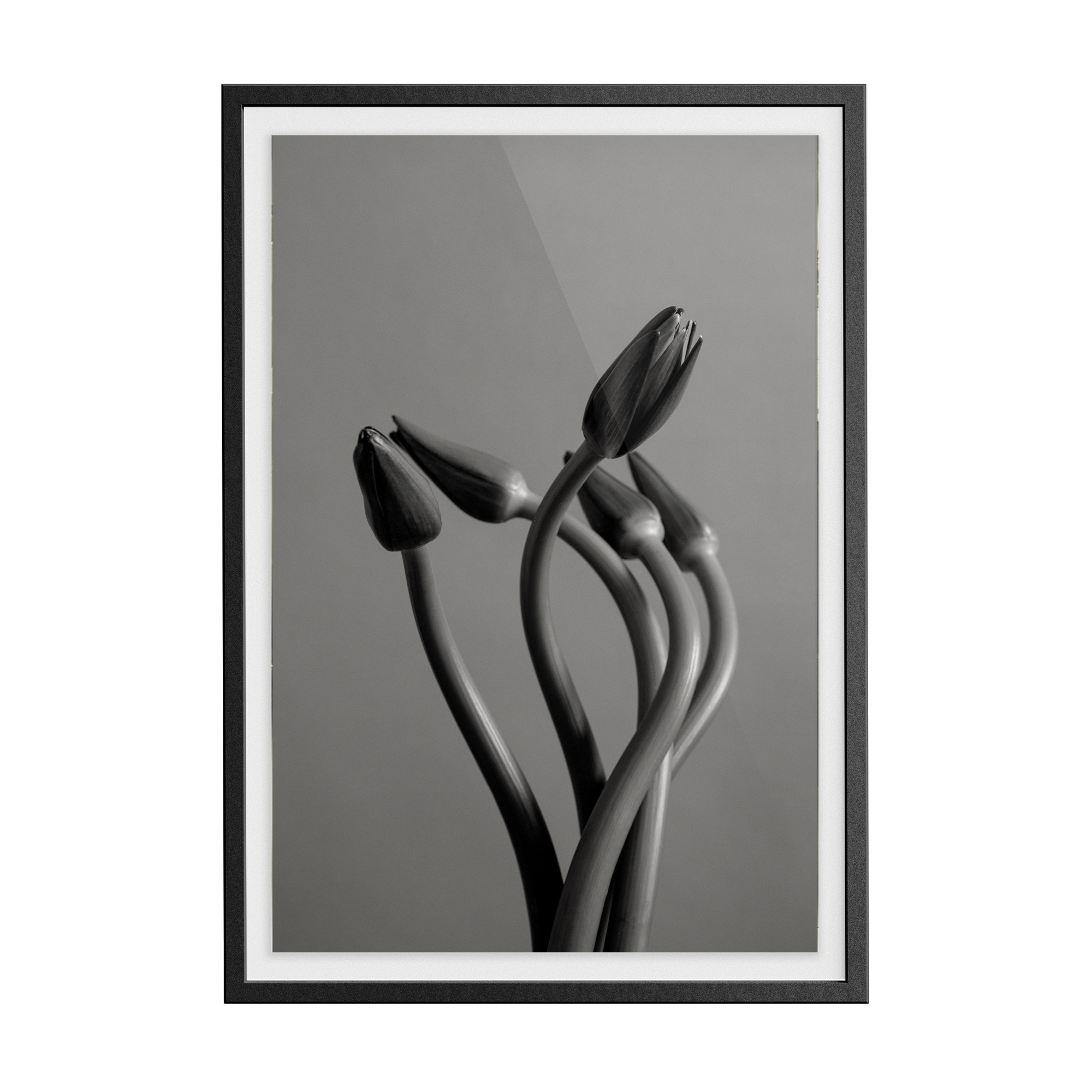 Echo Wave (No.1) photographic print