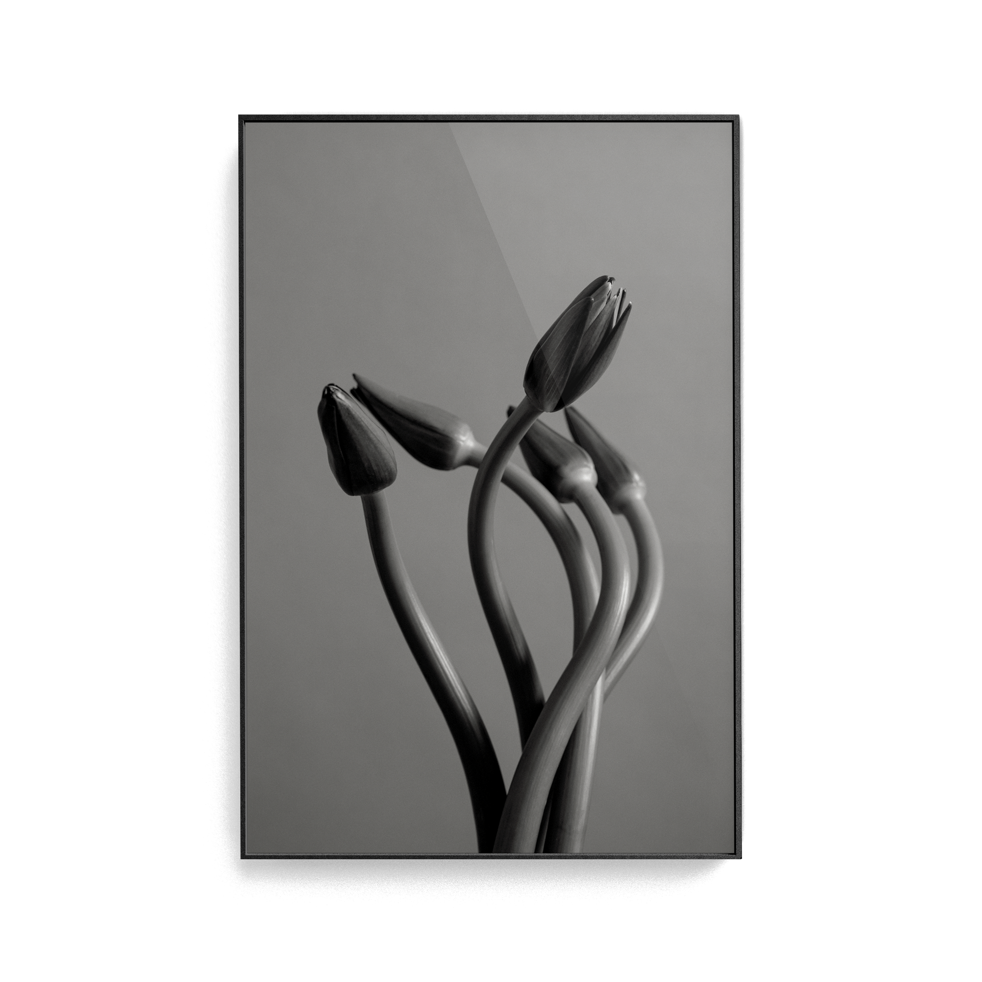Echo Wave (No.1) photographic print