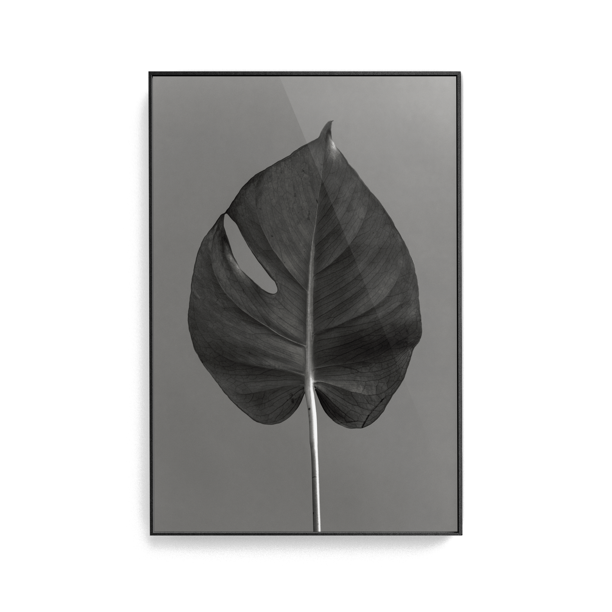 Echo Wave (No.2) photographic print