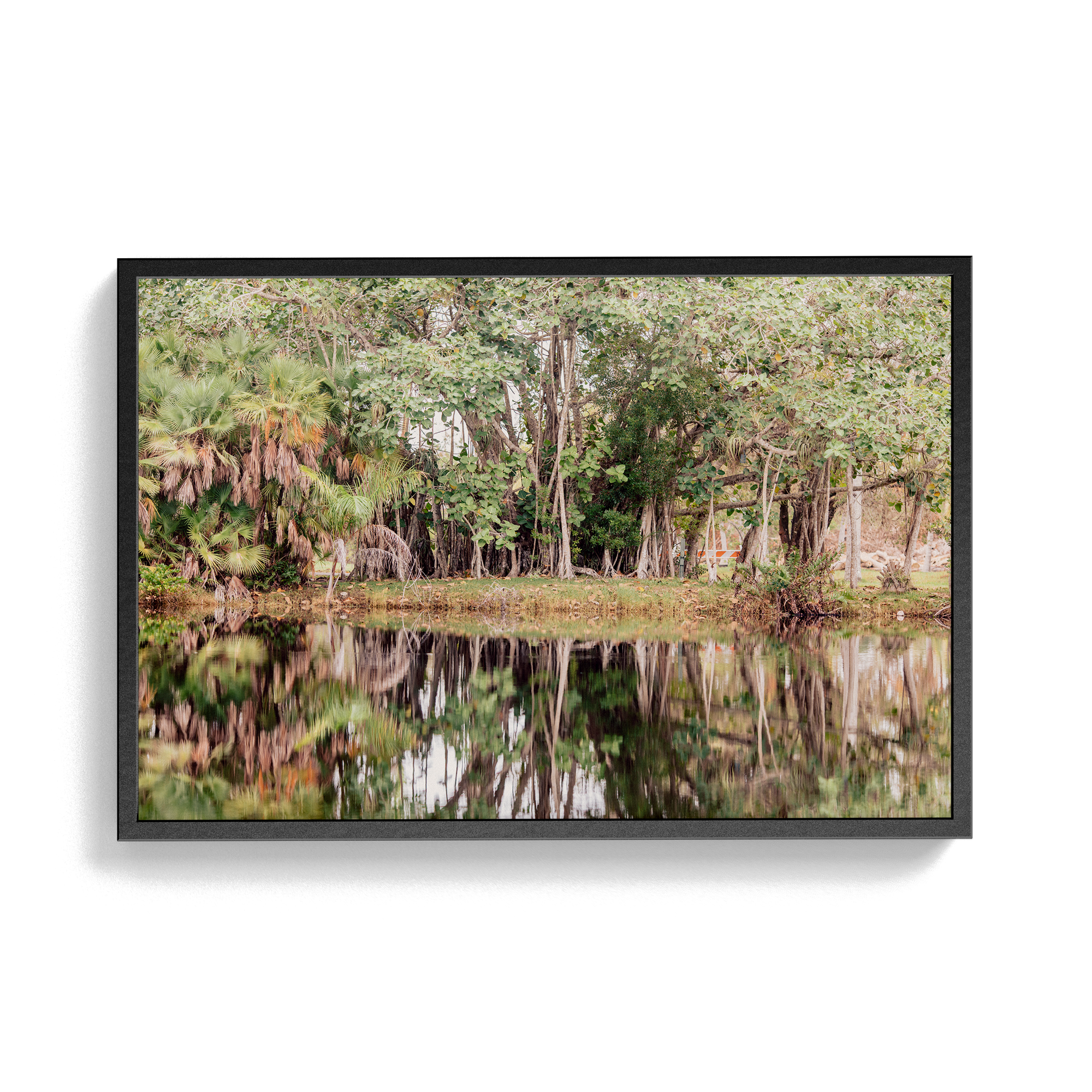Grove House, Miami (No. 14) photographic print