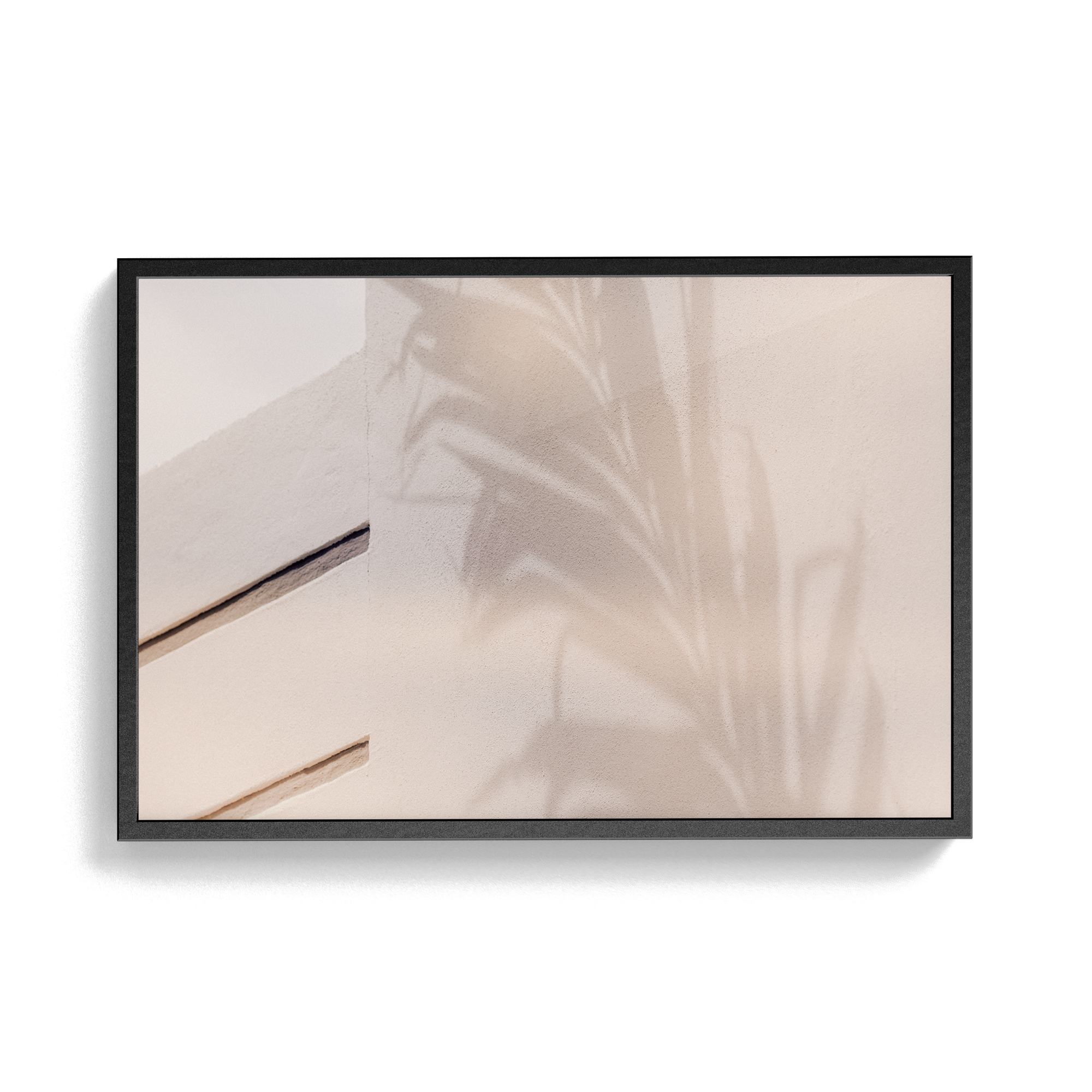 Grove House, Miami (No. 15) photographic print