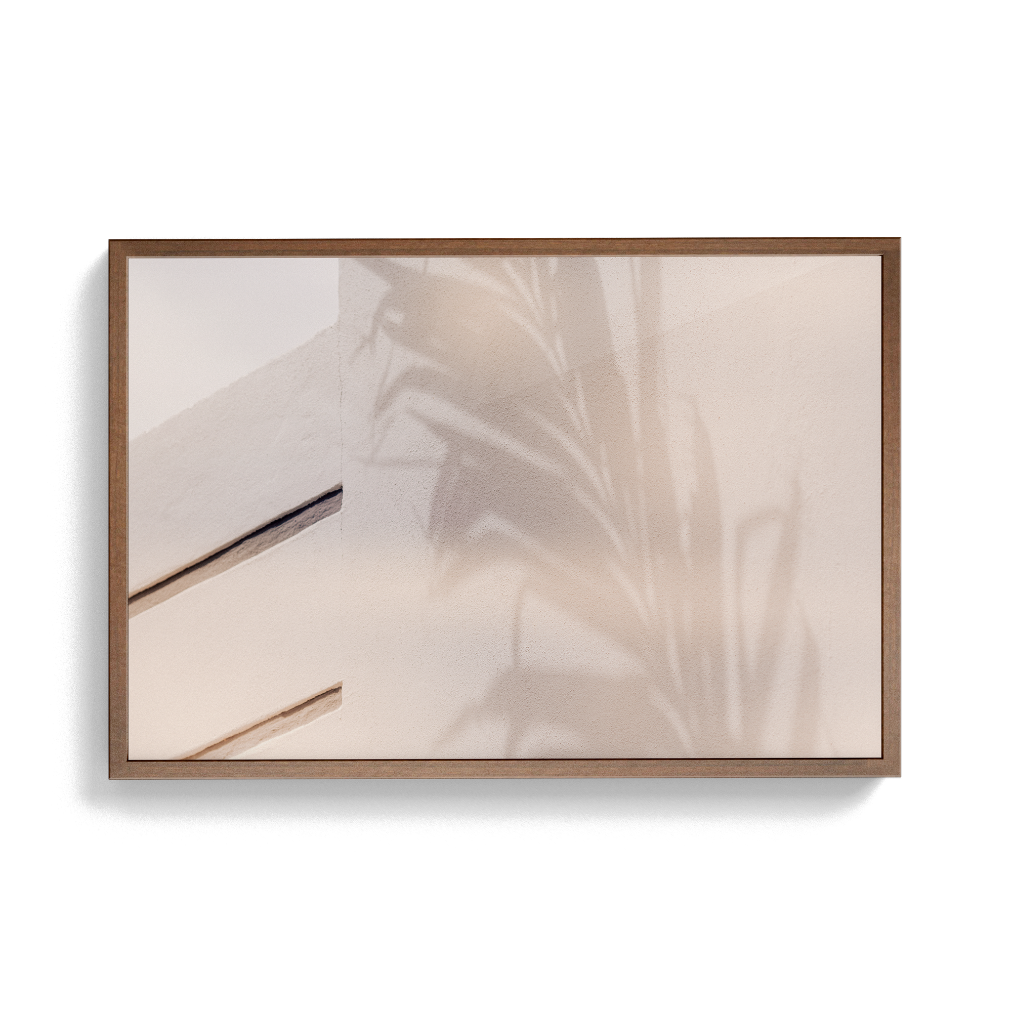 Grove House, Miami (No. 15) photographic print