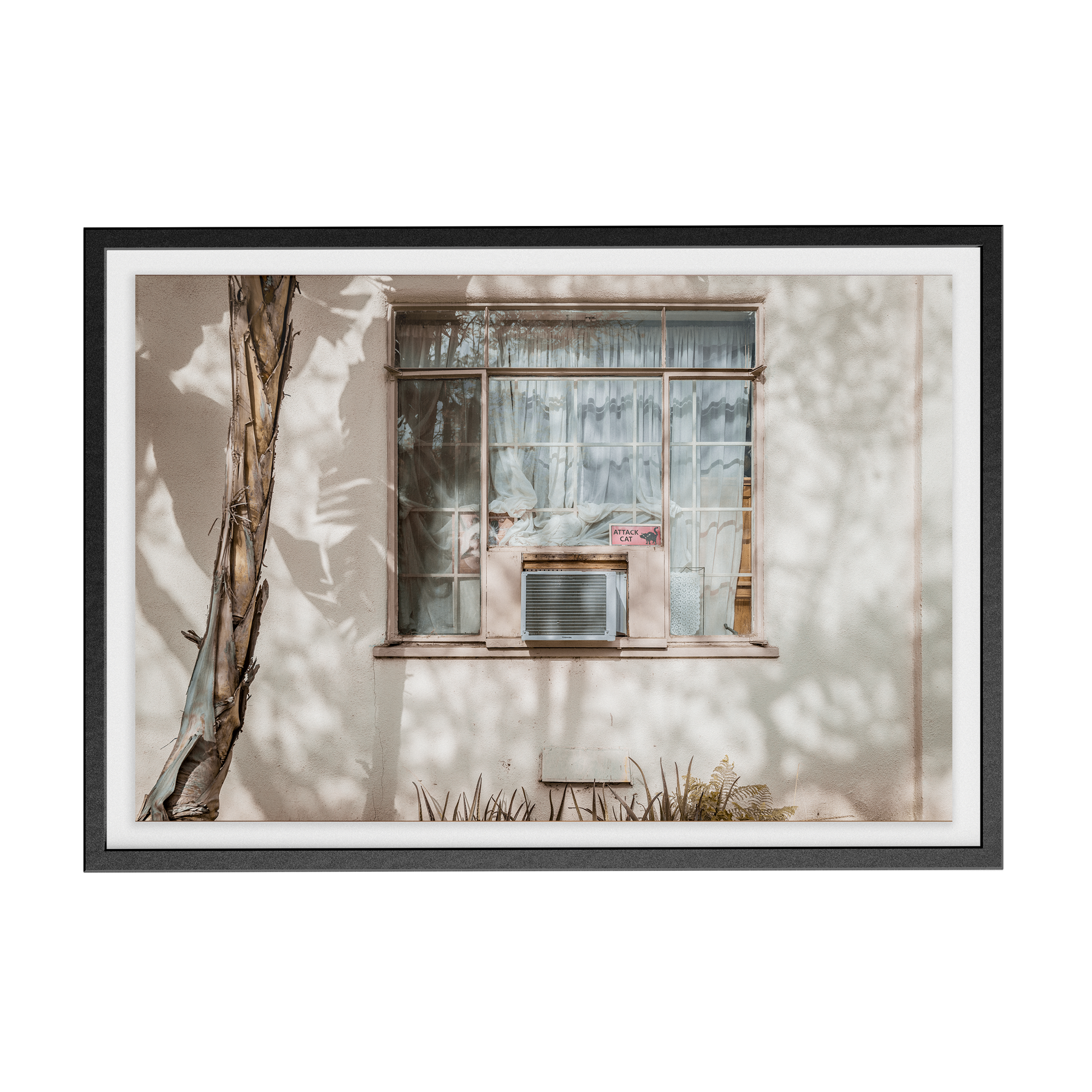 Hang in There (Isolation) photographic print