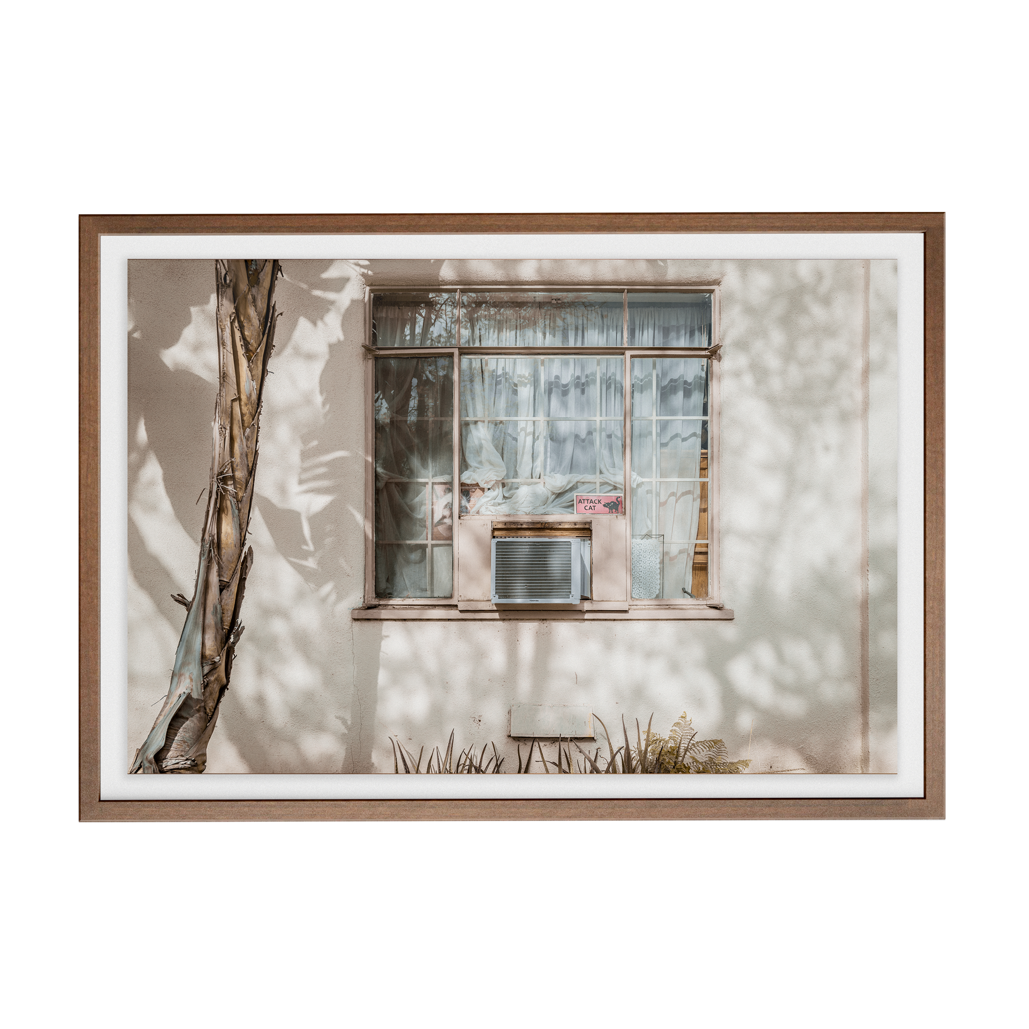 Hang in There (Isolation) photographic print